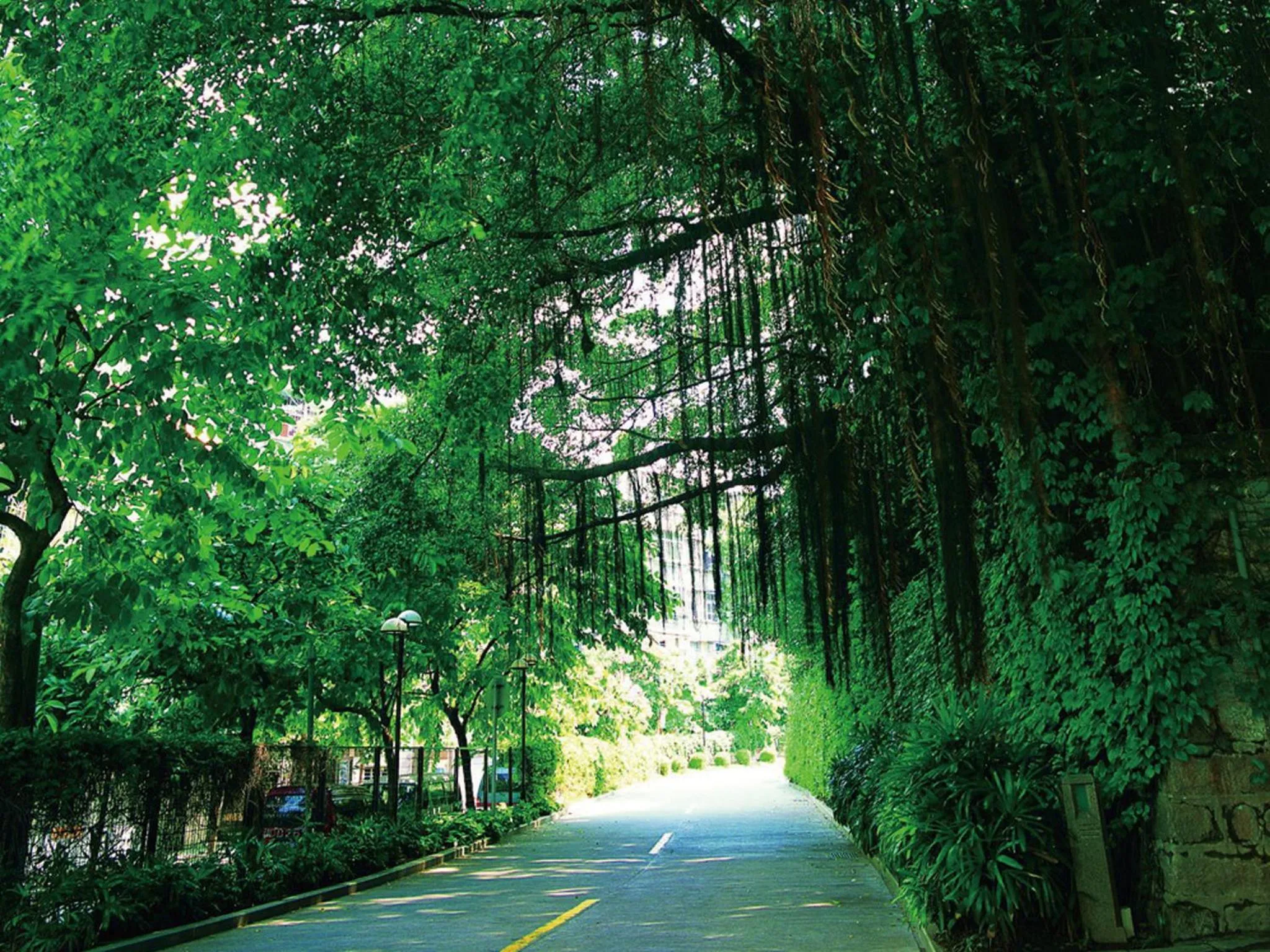Garden view in City Hotel Xiamen-Free Welcome Fruits