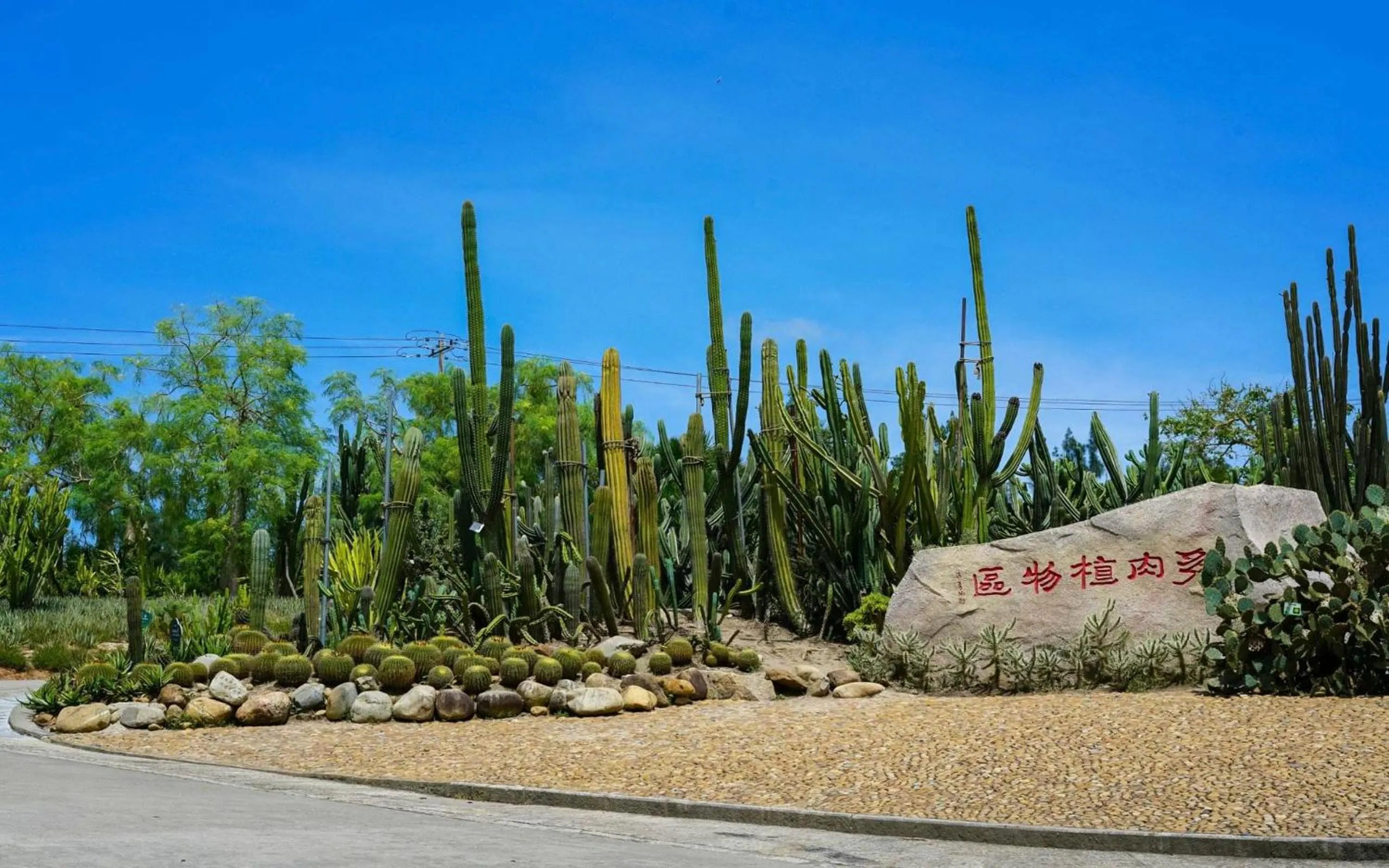 Nearby landmark in City Hotel Xiamen-Free Welcome Fruits