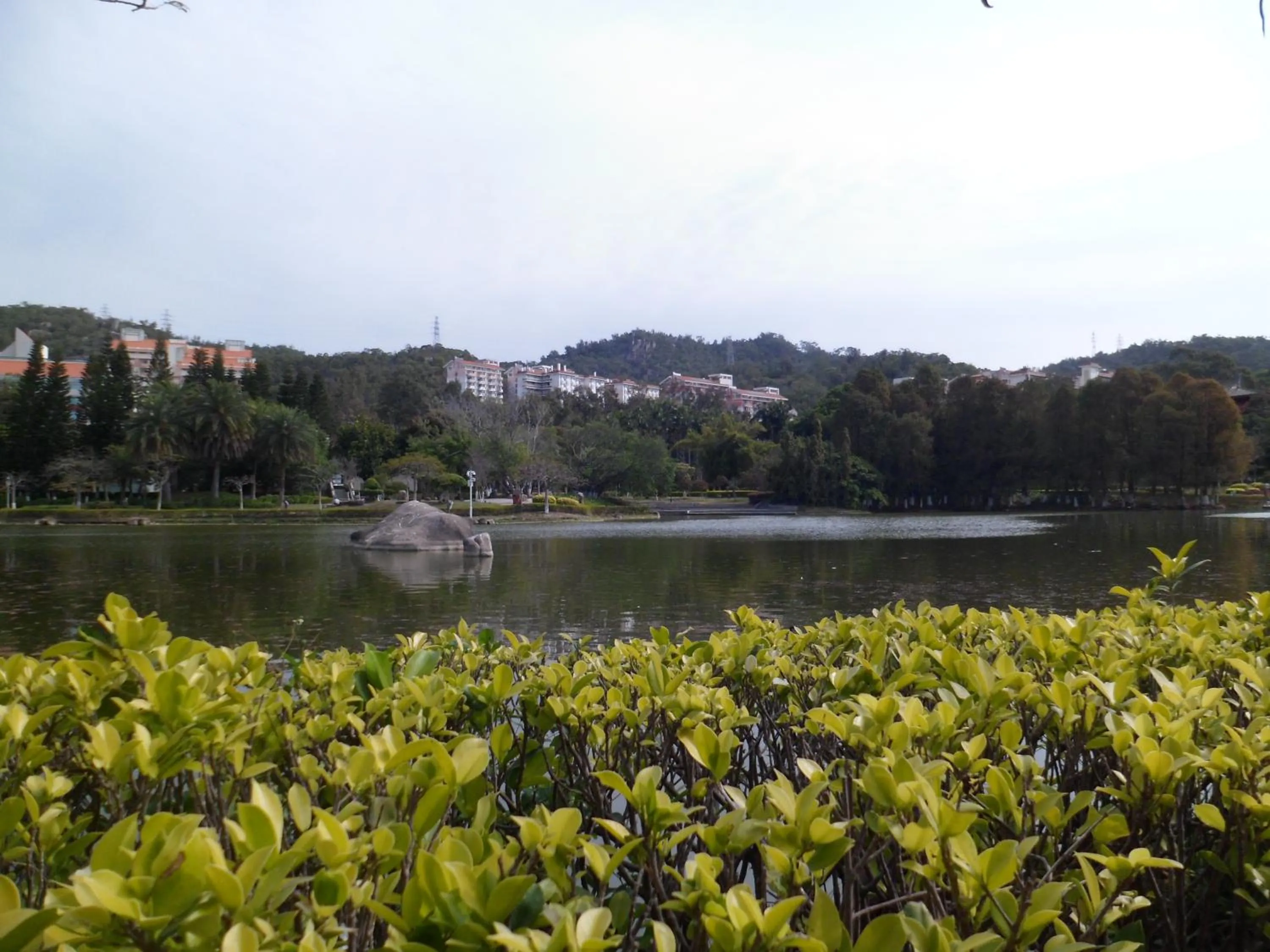 Other in City Hotel Xiamen-Free Welcome Fruits