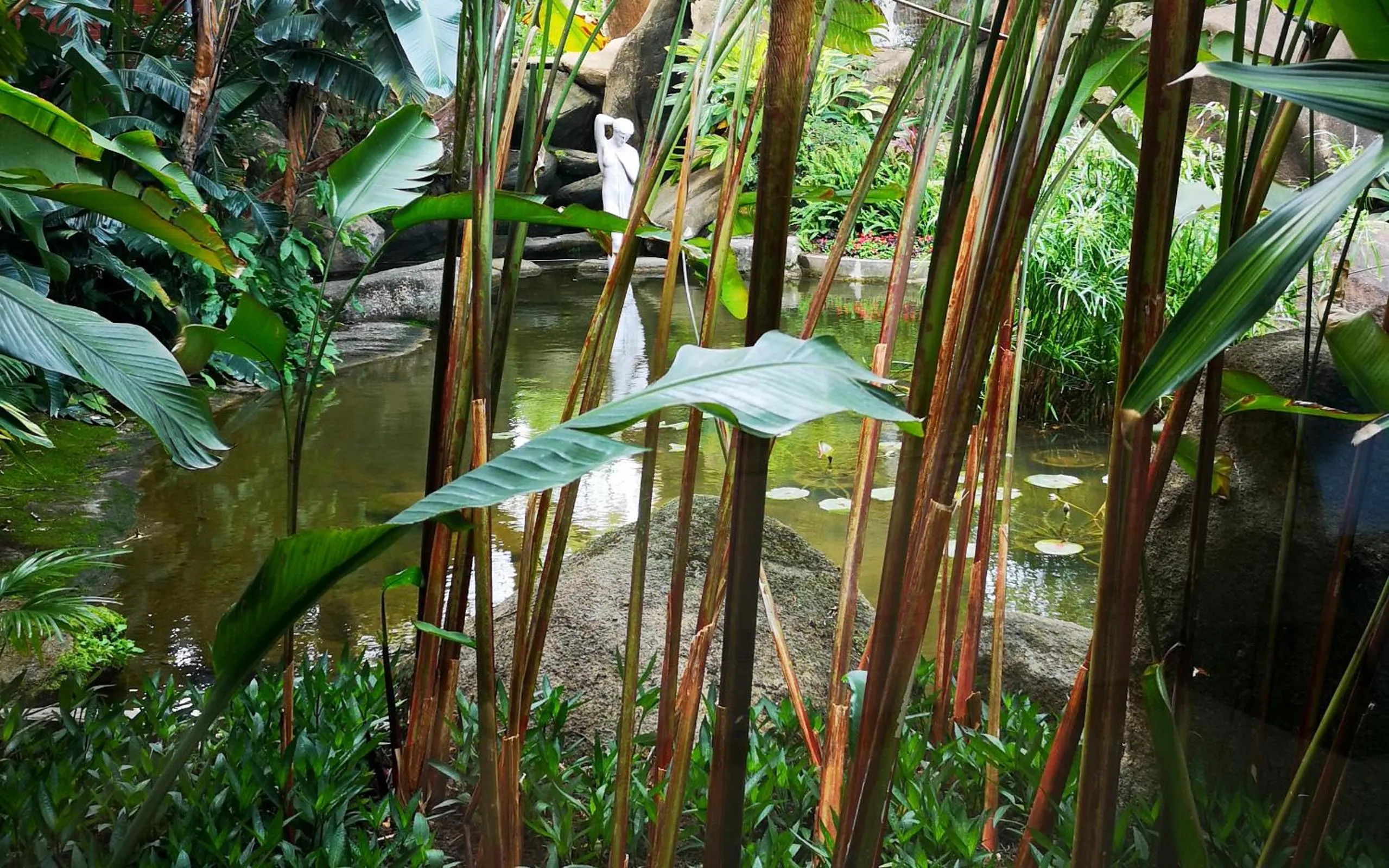 Garden in City Hotel Xiamen-Free Welcome Fruits