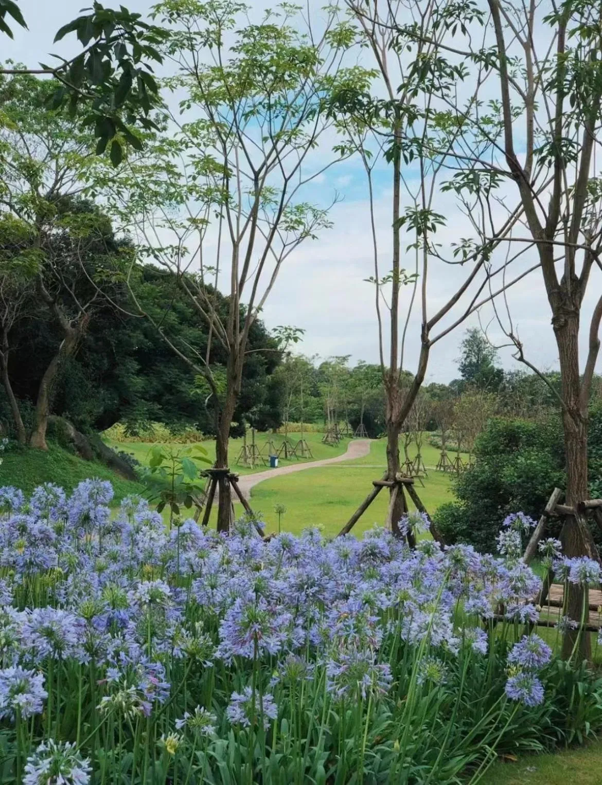 Other in City Hotel Xiamen-Free Welcome Fruits