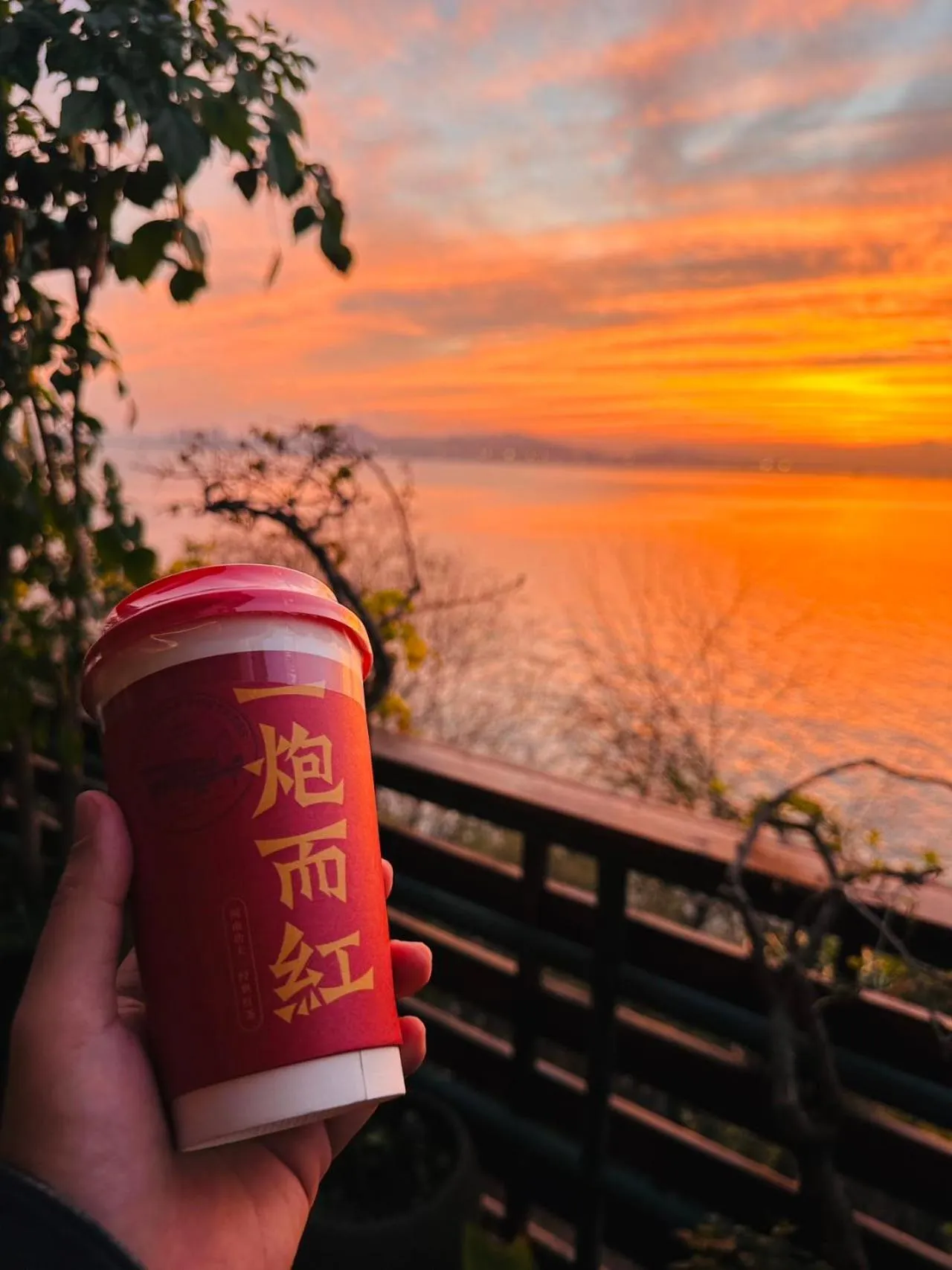 Other in City Hotel Xiamen-Free Welcome Fruits