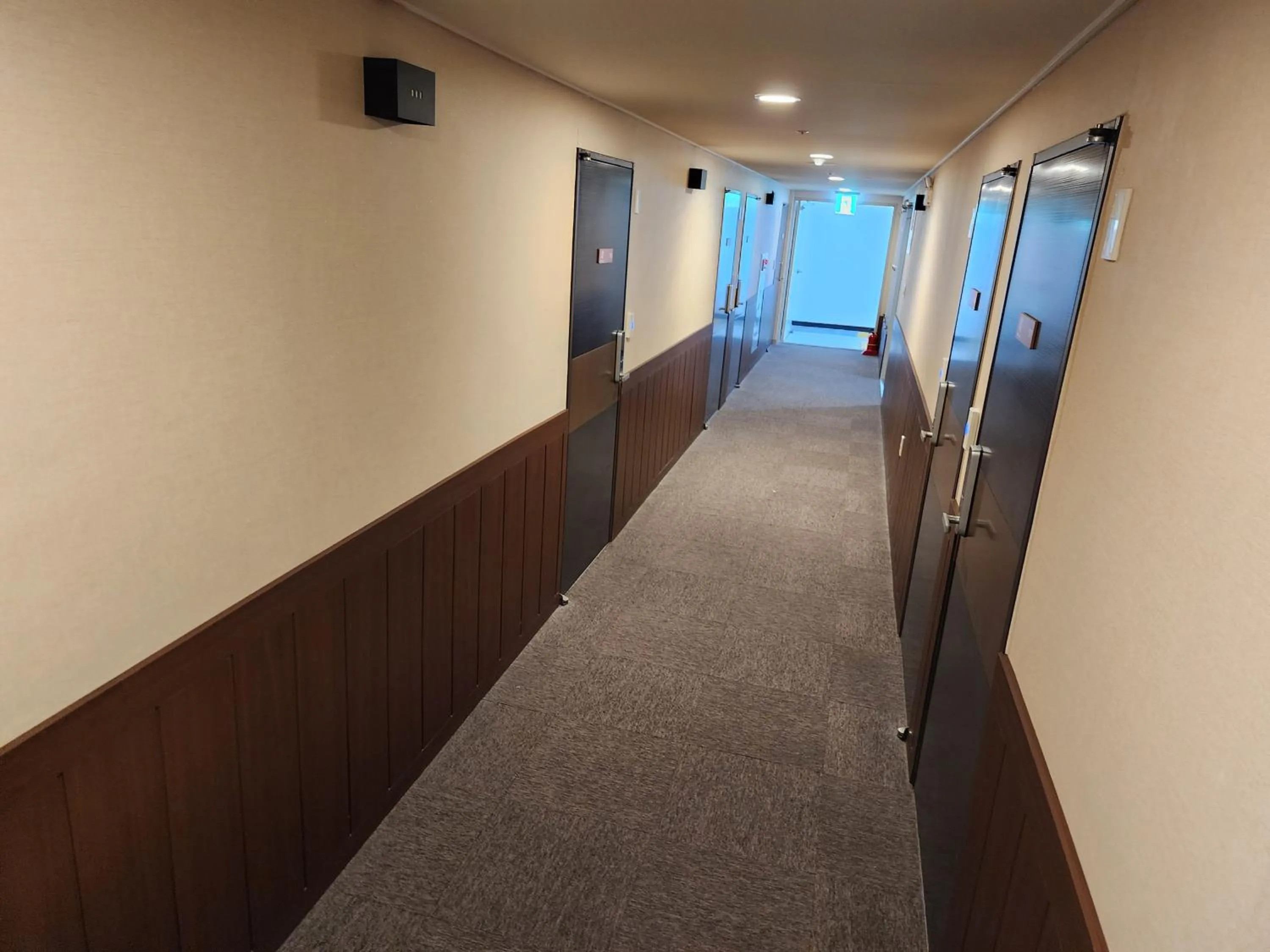 Area and facilities in Hotel Haema