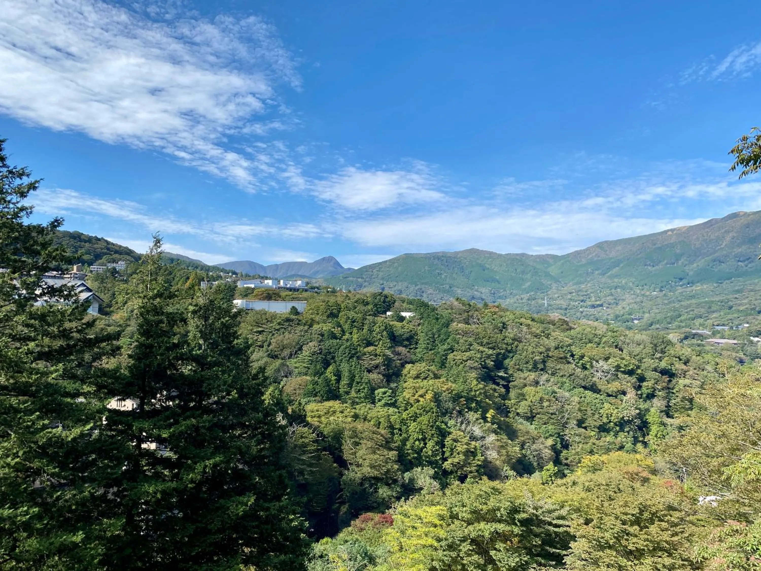 Photo of the whole room in Musashino Bekkan