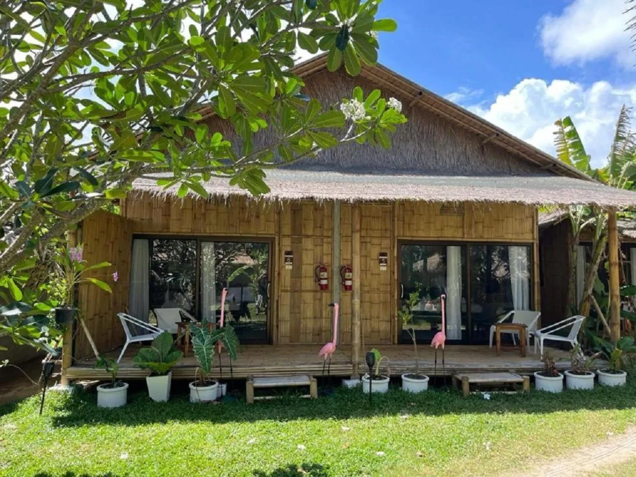 View (from property/room) in Margarita Beach