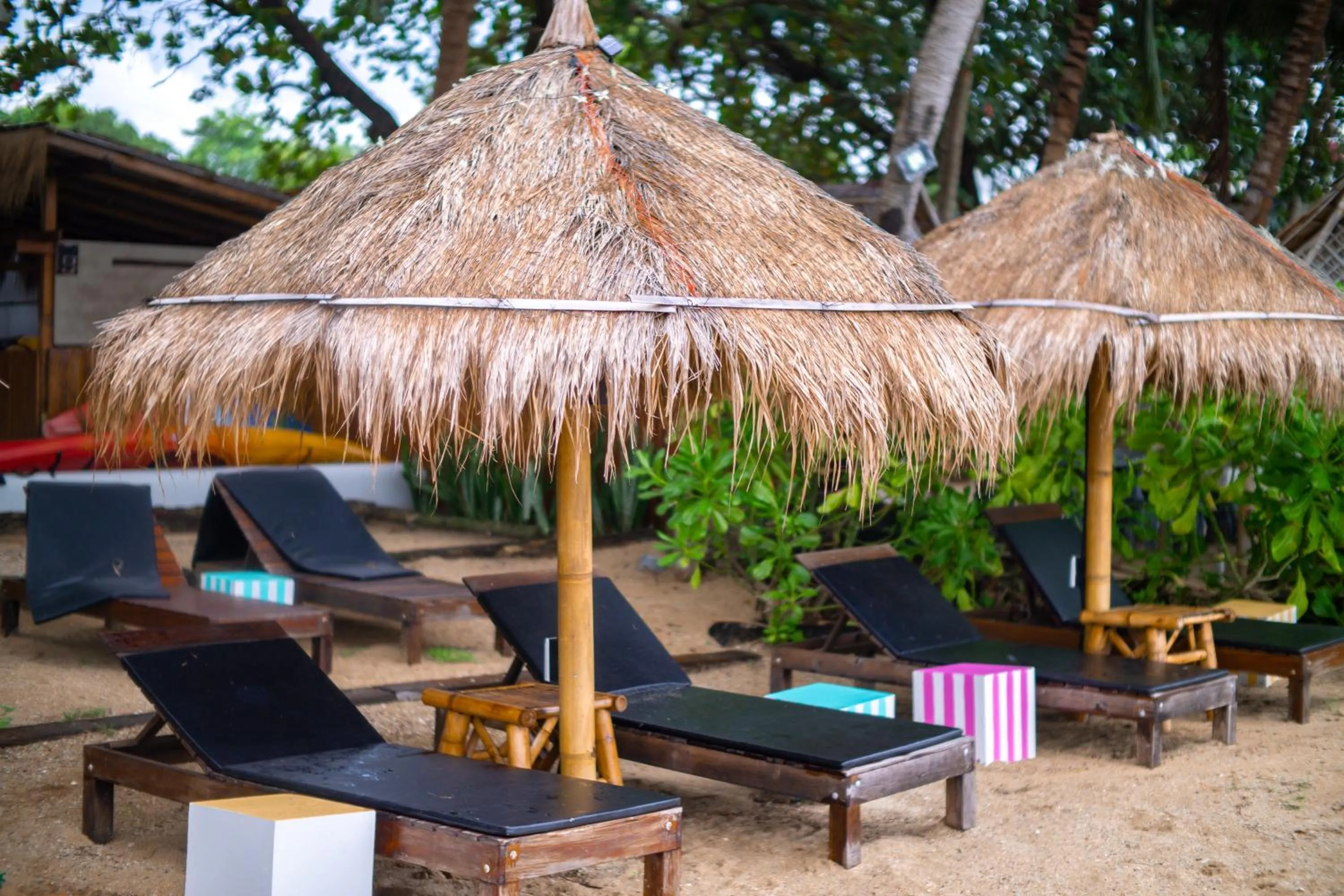 Area and facilities in Margarita Beach