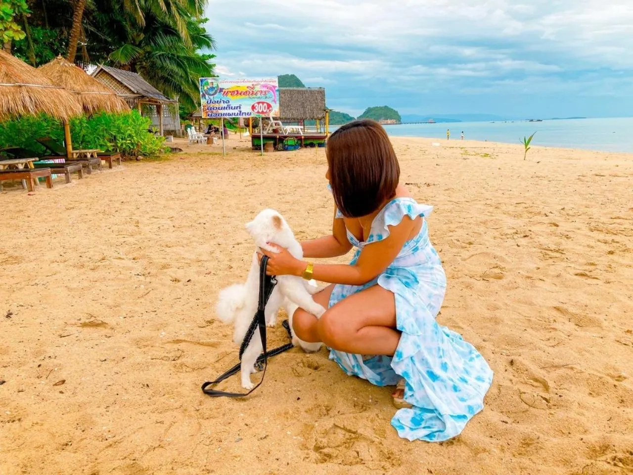 Pets in Margarita Beach