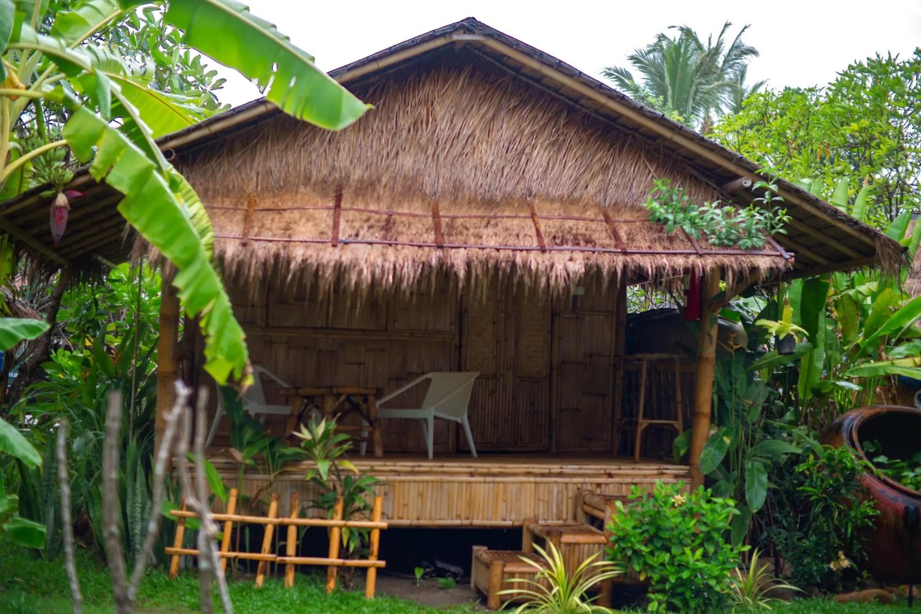 View (from property/room) in Margarita Beach