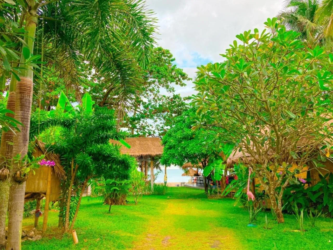 Natural landscape in Margarita Beach