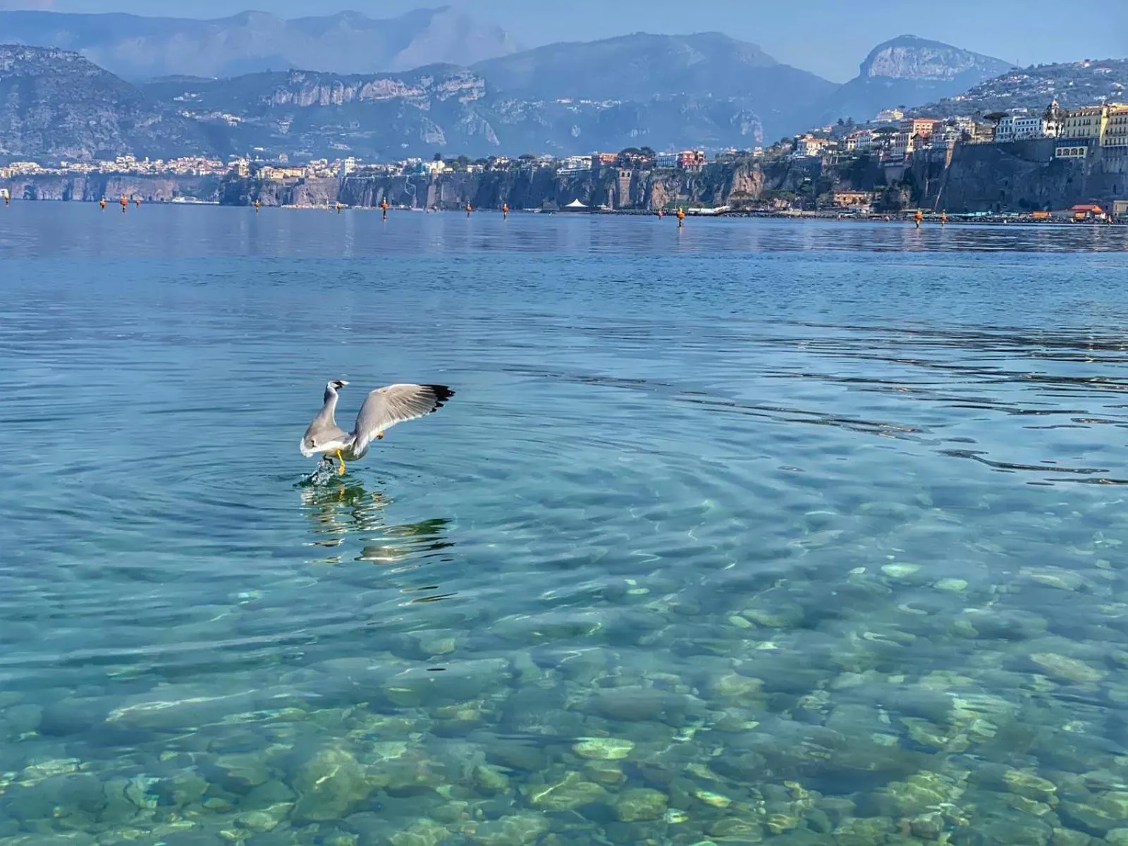 Natural landscape in Hotel La Tonnarella