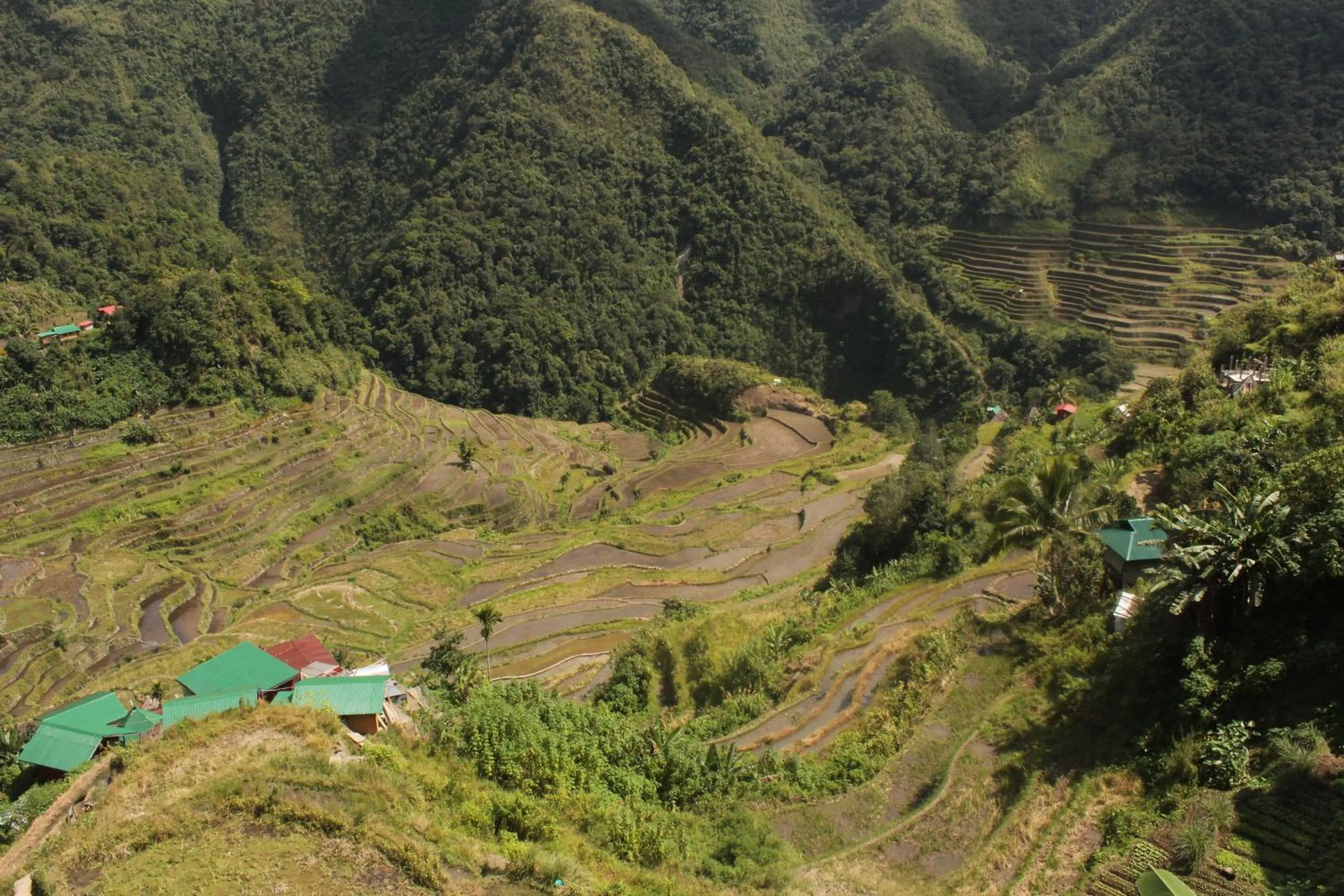 Batad Transient House