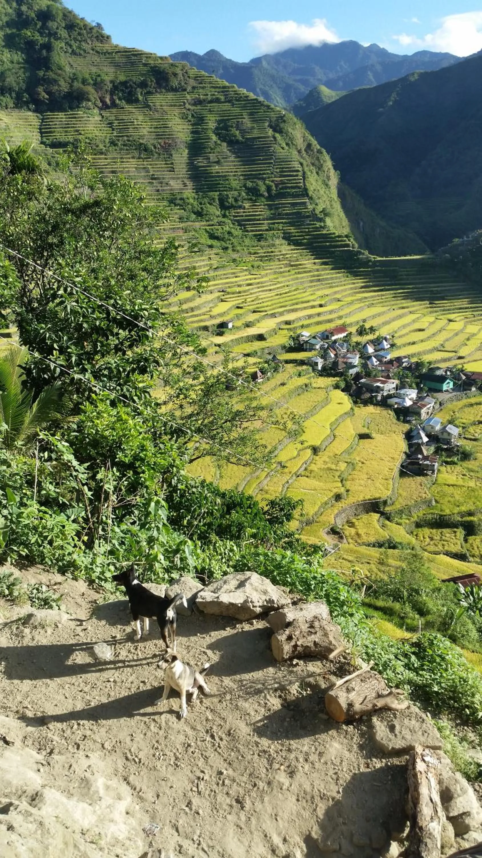 Mountain view in Batad Transient House