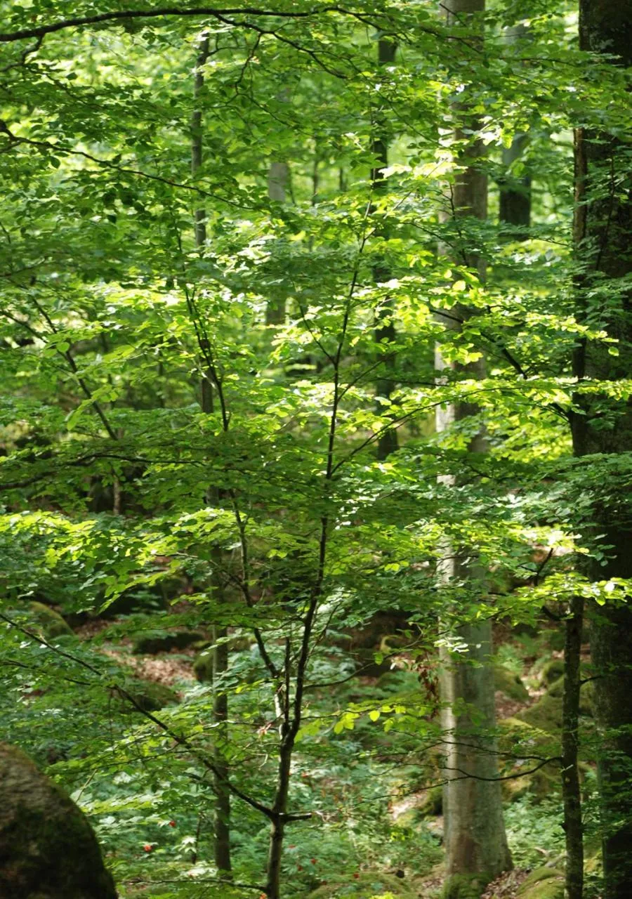 Off site in Room In Ekestad