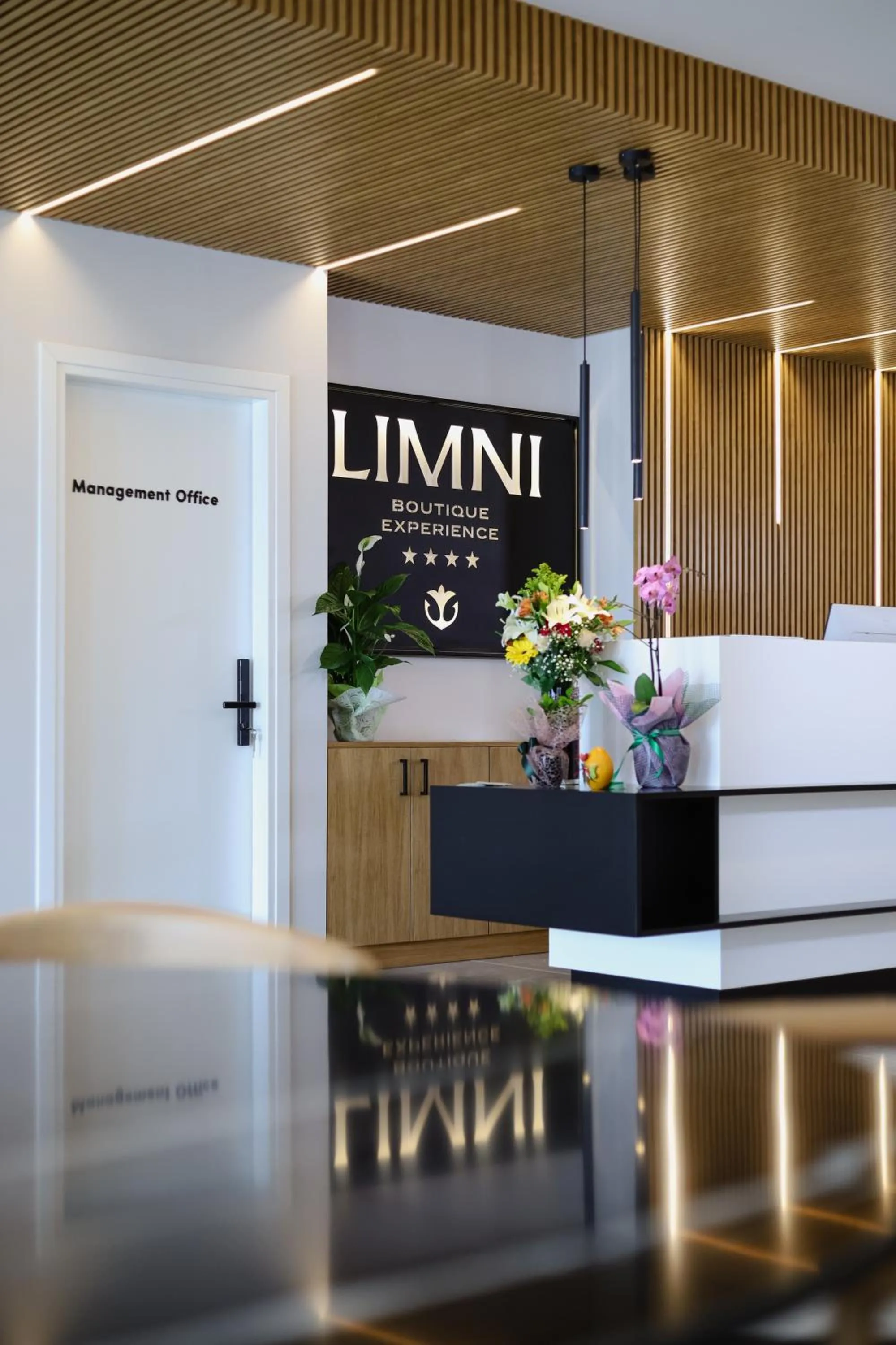 Lobby or reception in LIMNI Boutique Experience Evia