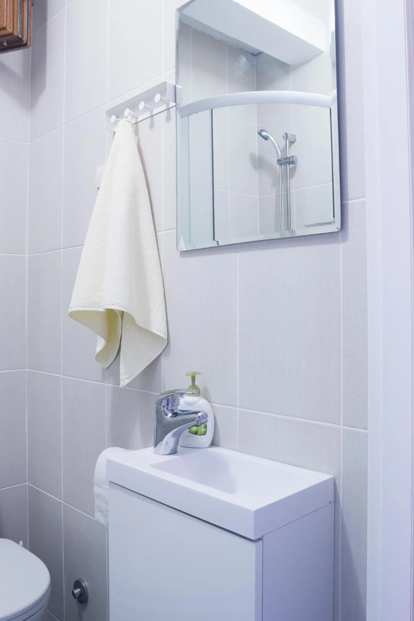 Bathroom in Olive Apartment