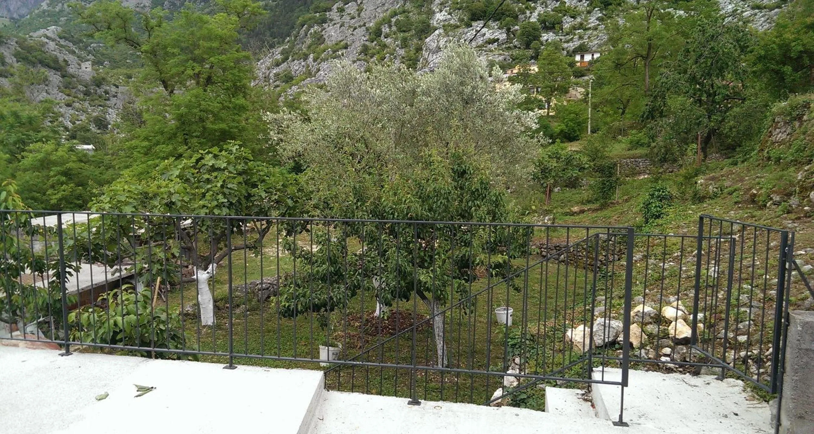 Neighbourhood in Olive Apartment