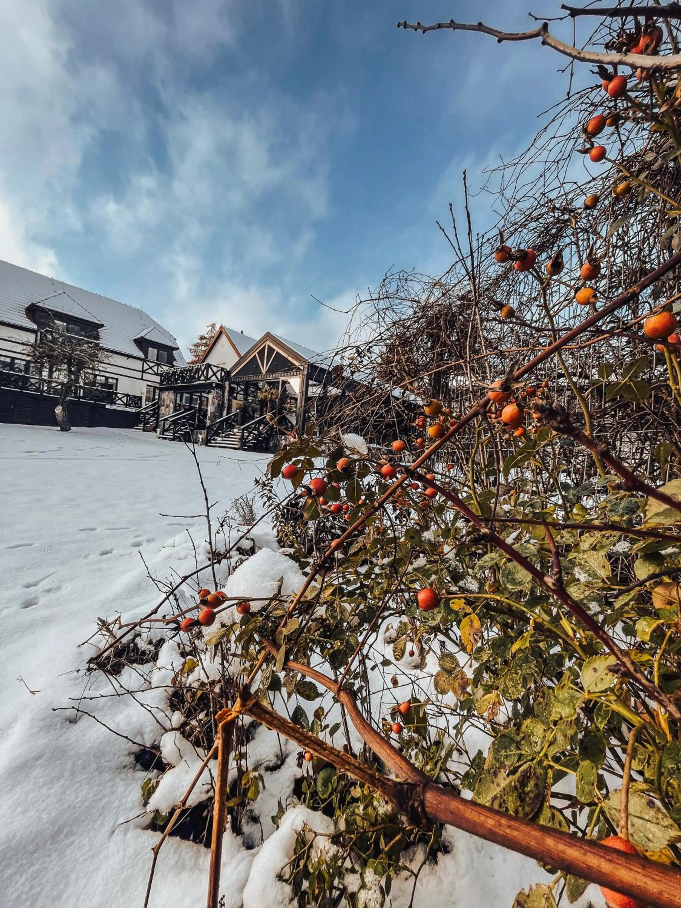 Stare Sady Chillout Rooms "Pod Jabłoniami"