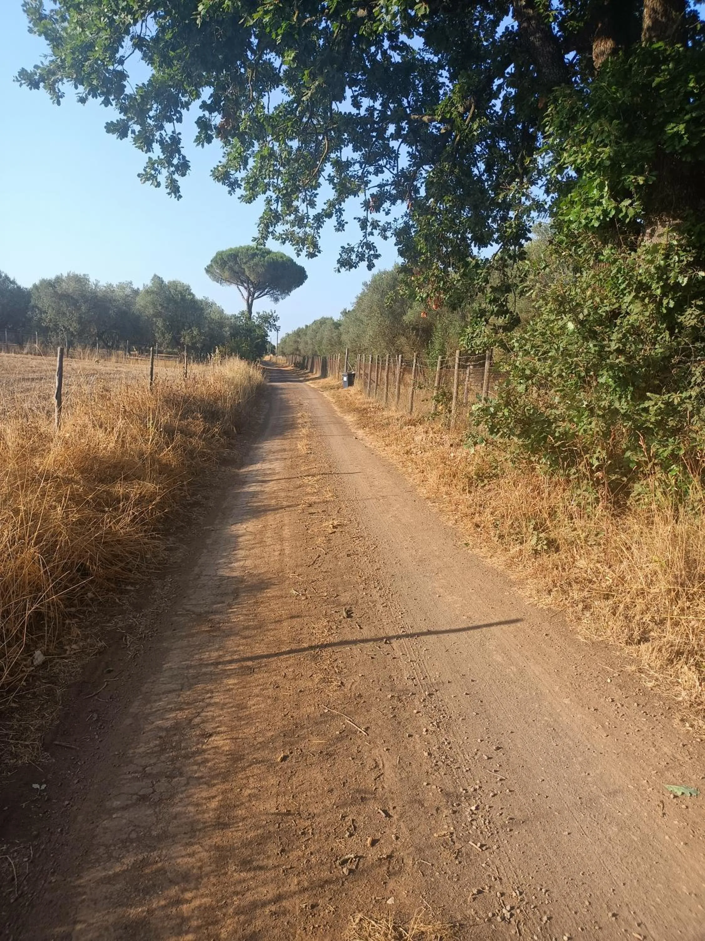 Street view in Il Giardino nell'Orto