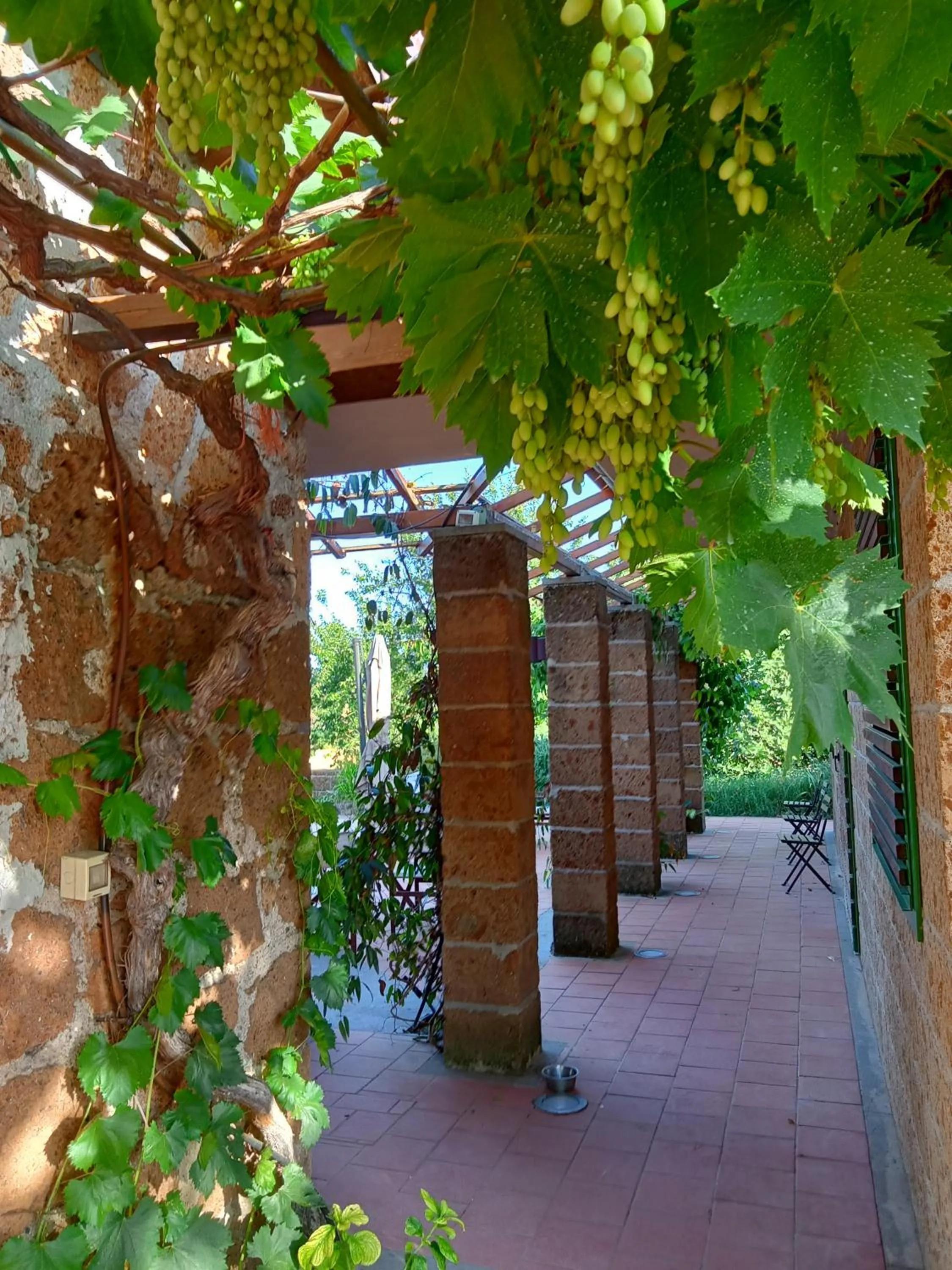 Il Giardino nell'Orto