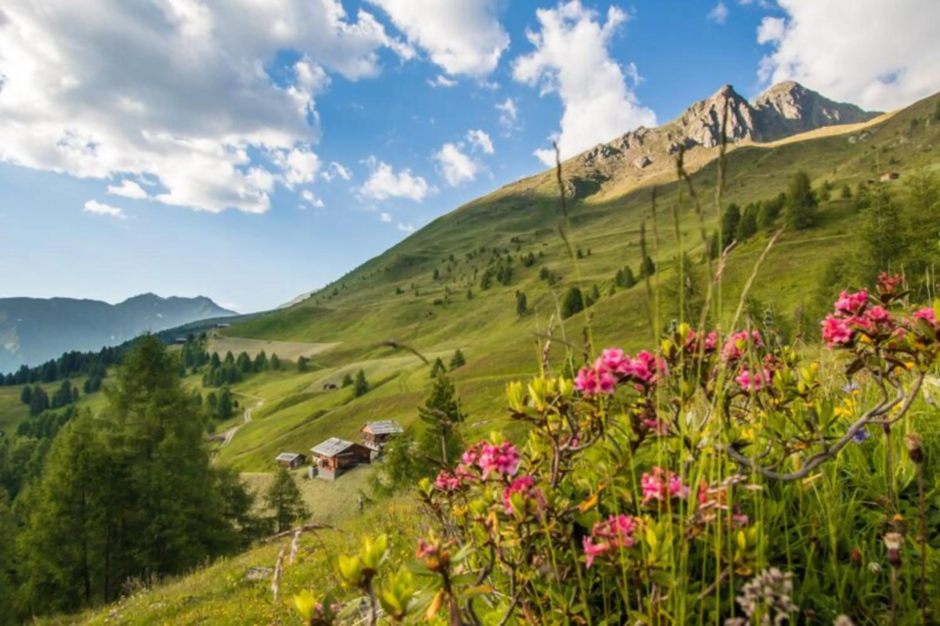 Natural landscape in Unterhabererhof