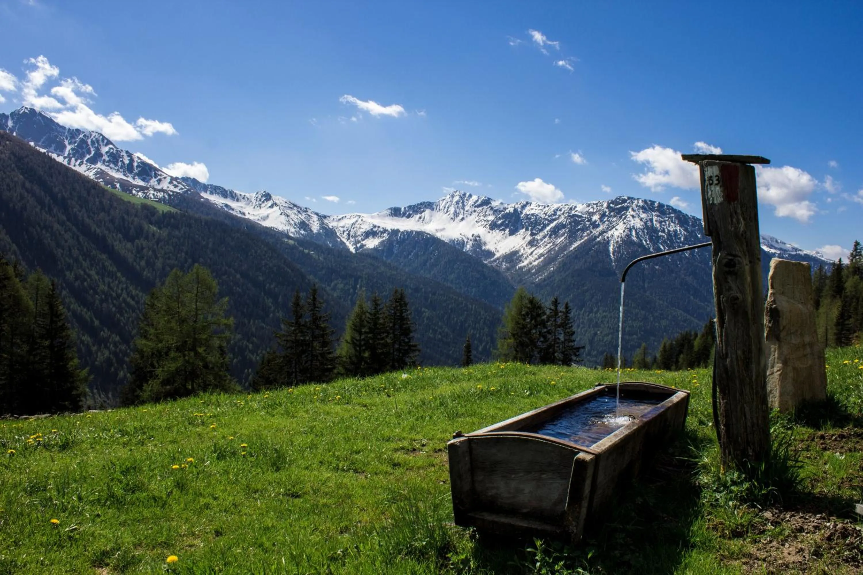 Spring in Unterhabererhof