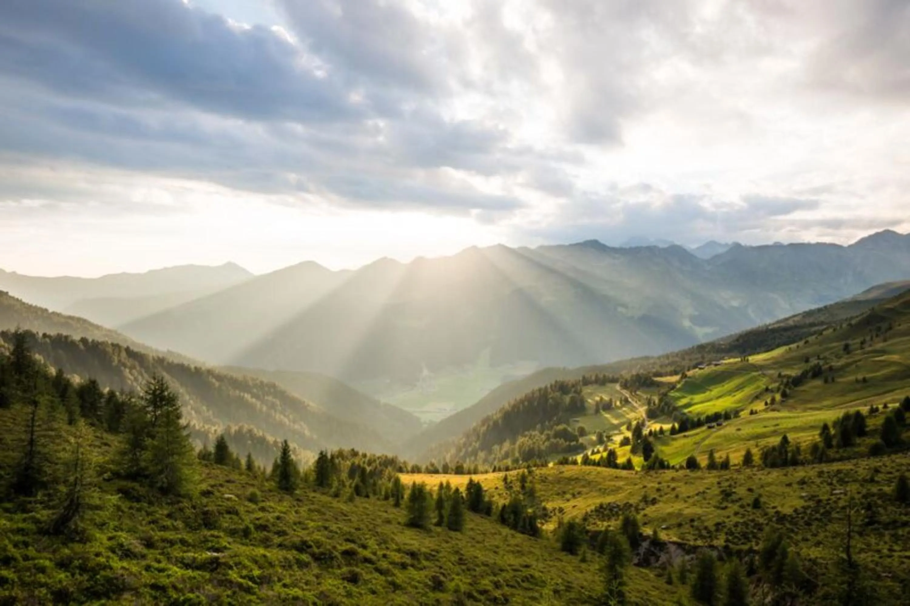 Natural landscape in Unterhabererhof