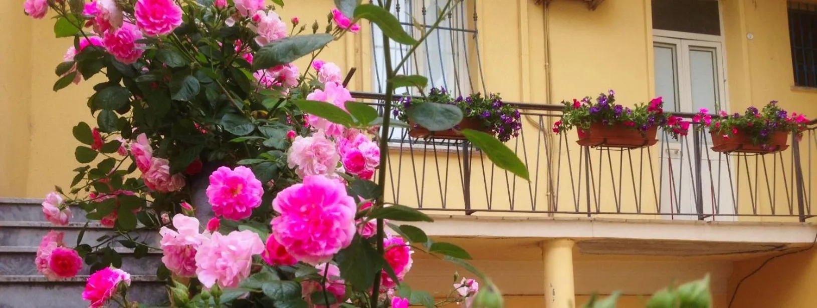 B&B Maison Rosetta IUN-E4948