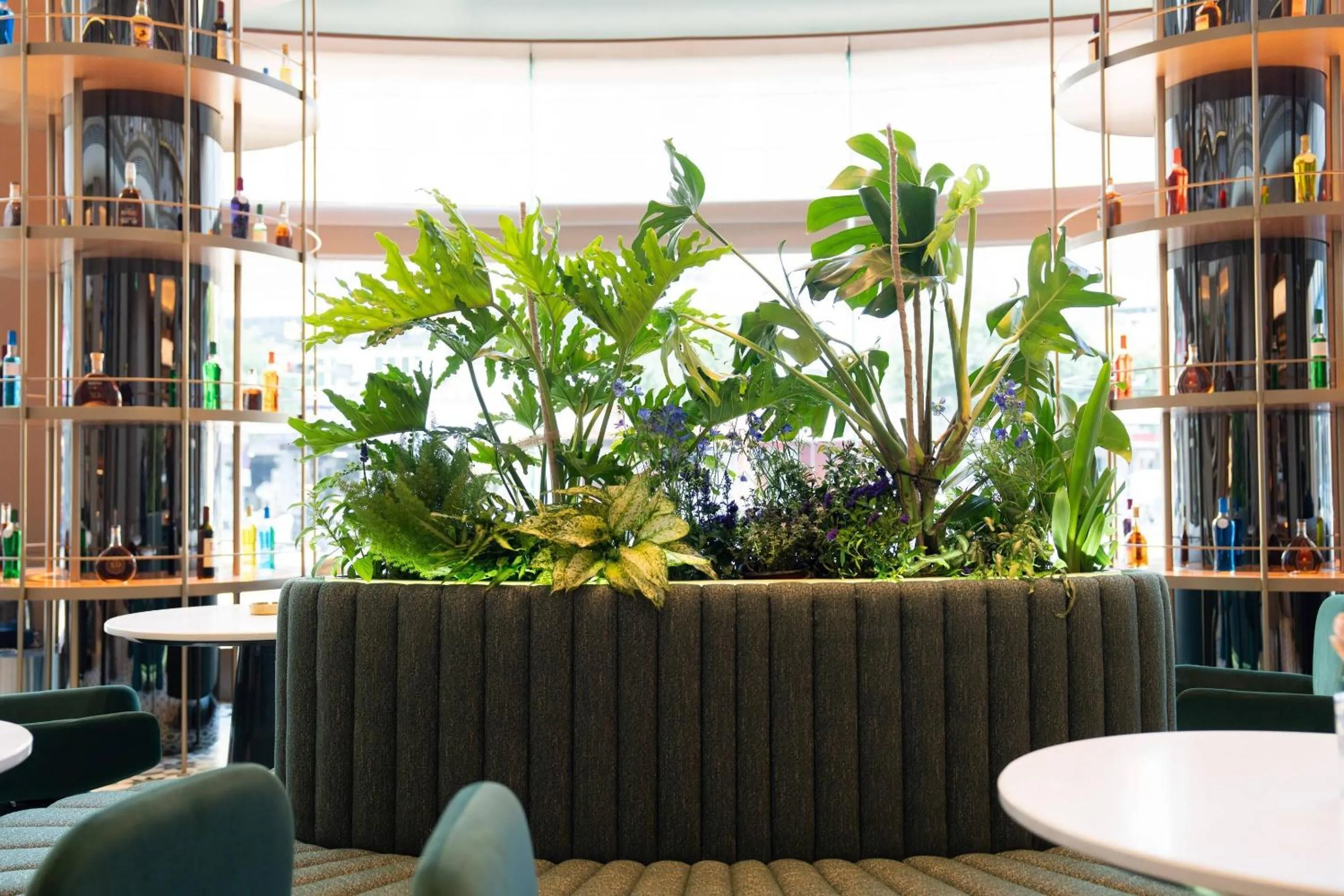 Lounge or bar in Quality Hotel Wuyi