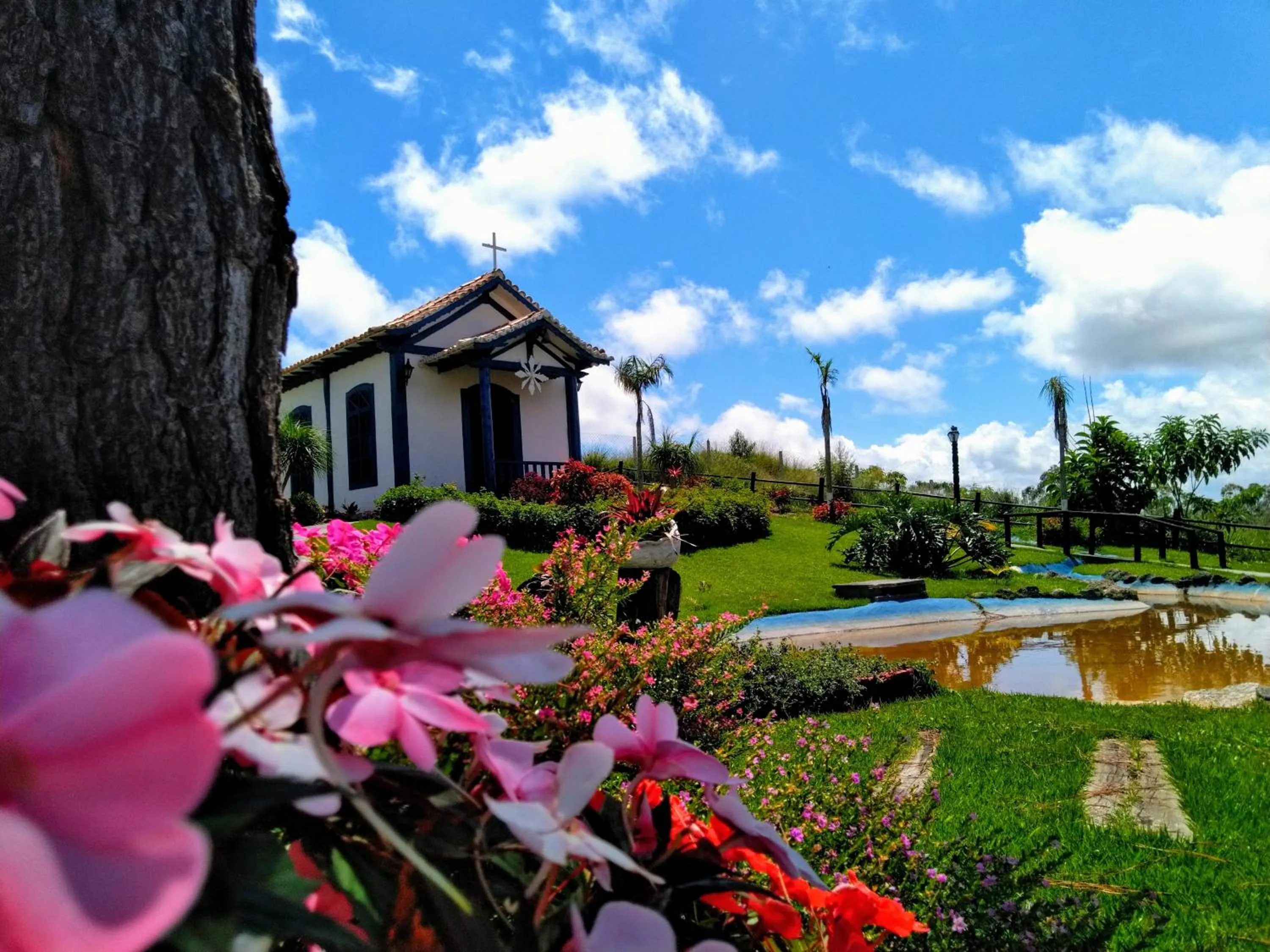 Pool view in Vale Encantado - Eco Park & Hotel