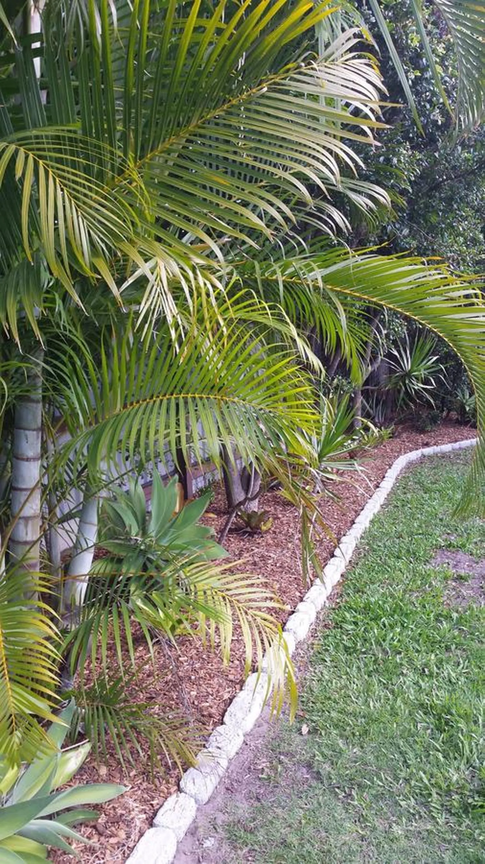 Garden in Bluegrass BnB