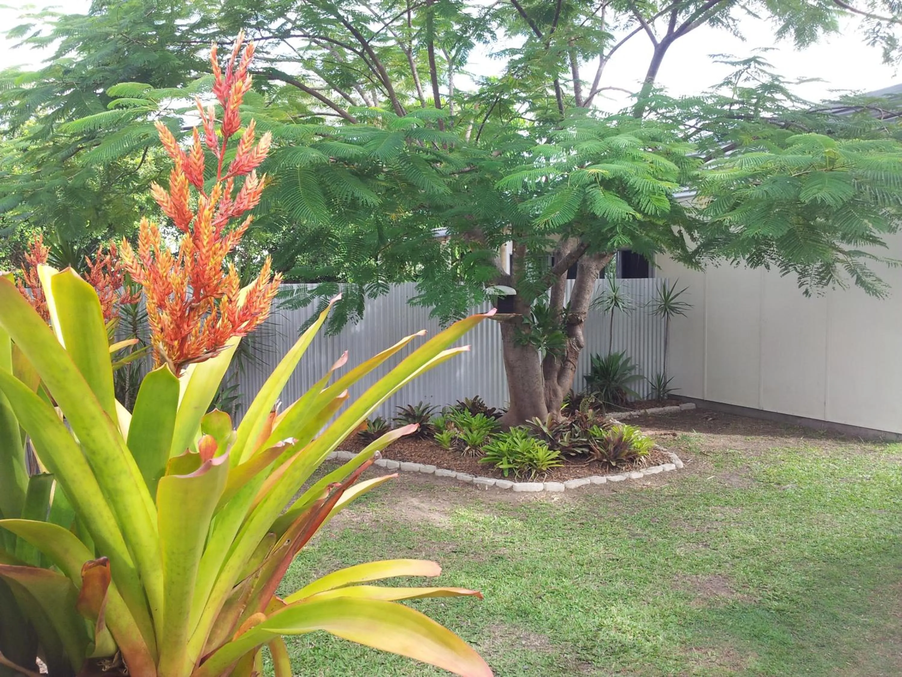 Garden in Bluegrass BnB