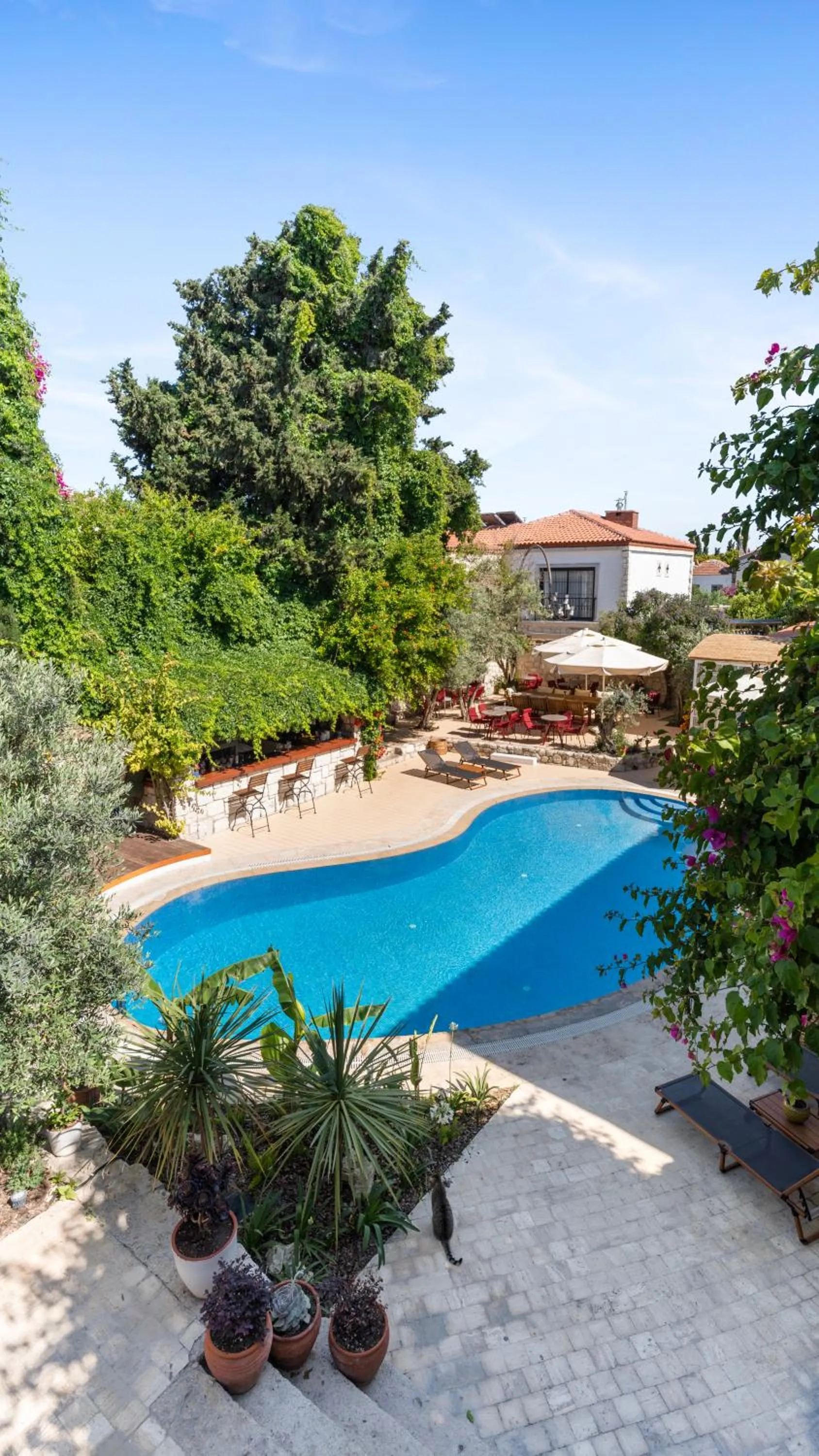 Garden in La Grenadine Hotel