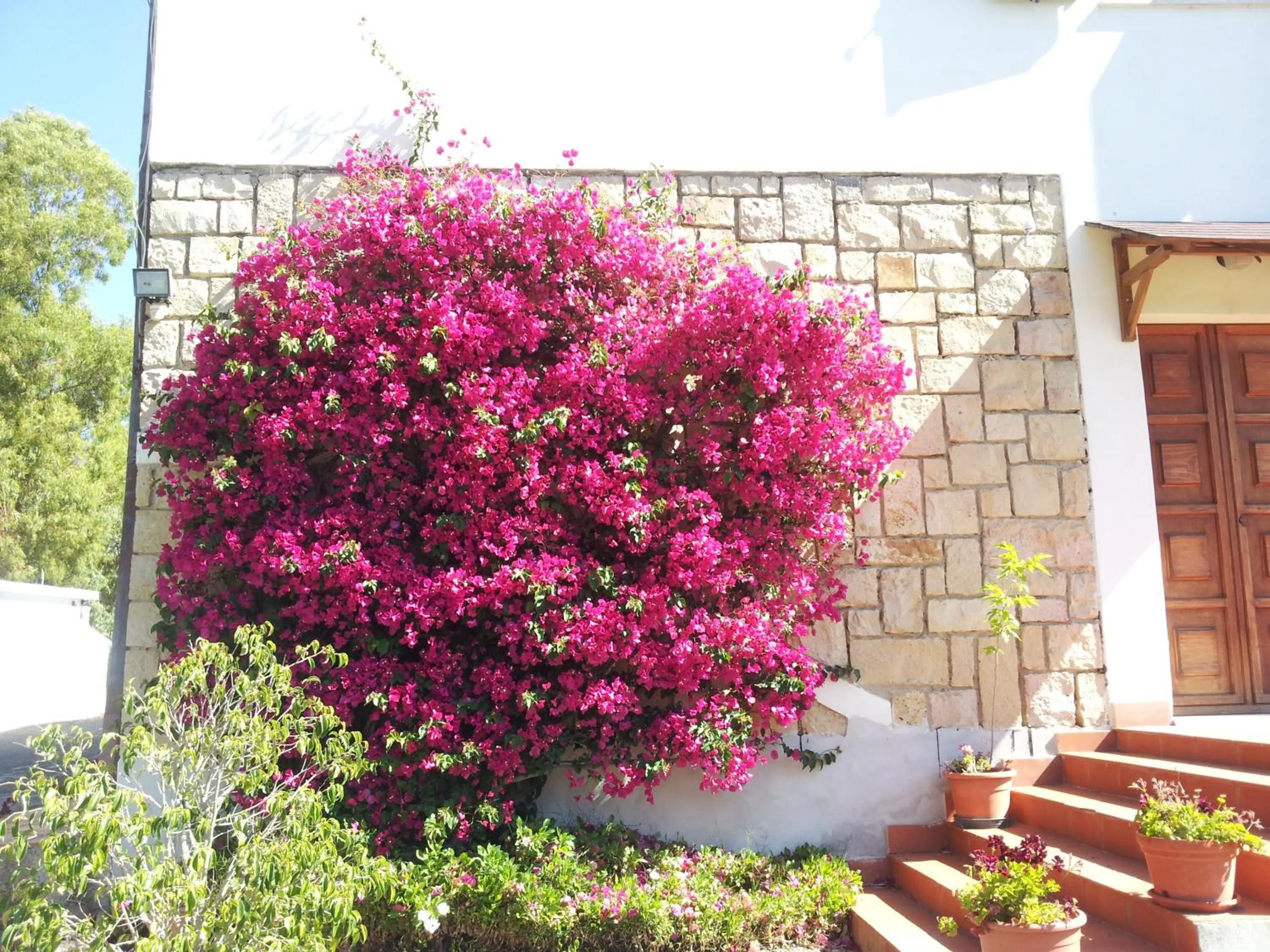 Garden in Al Sole Di Pula