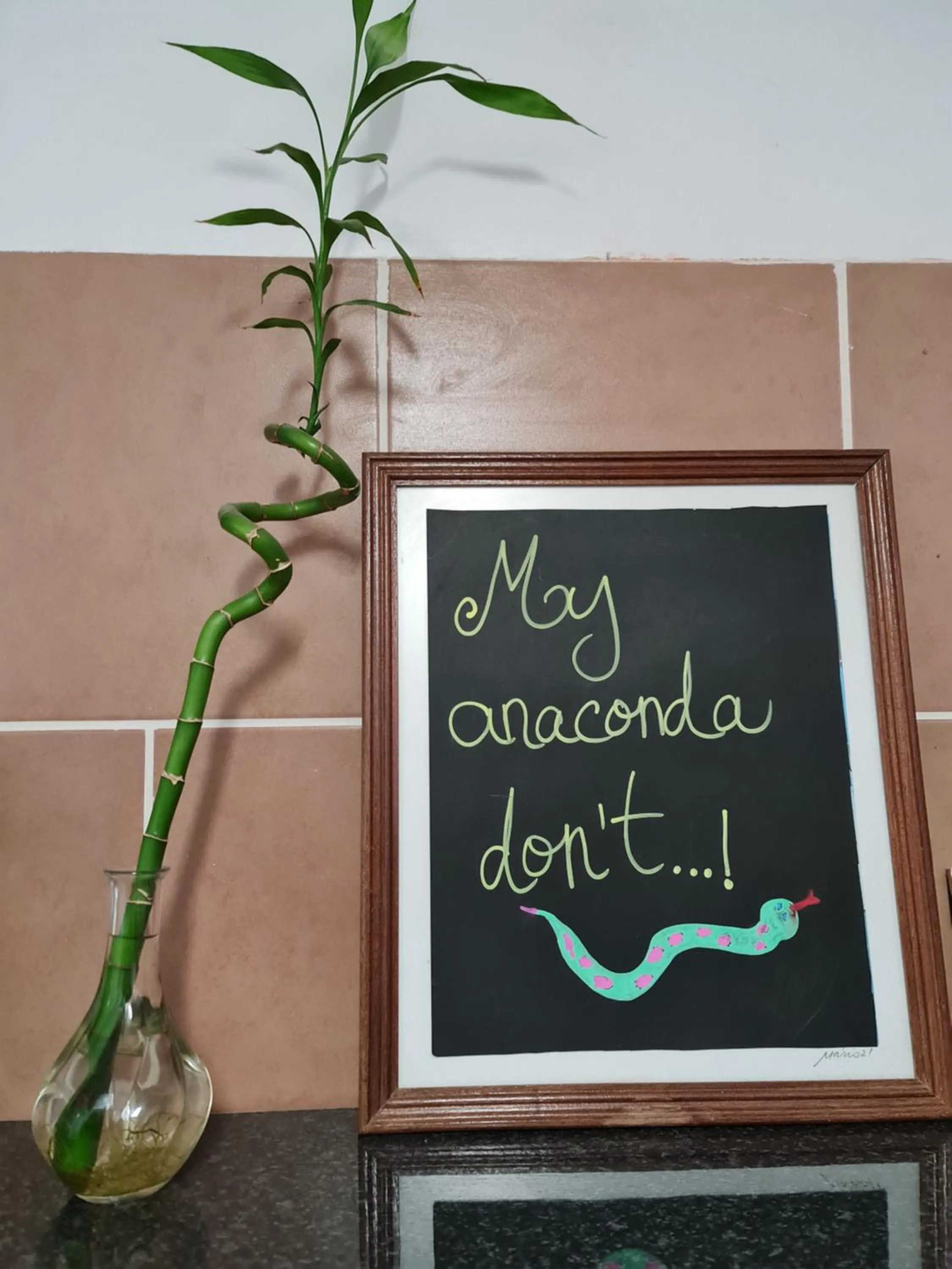 Shangri-La Hostel Anjos