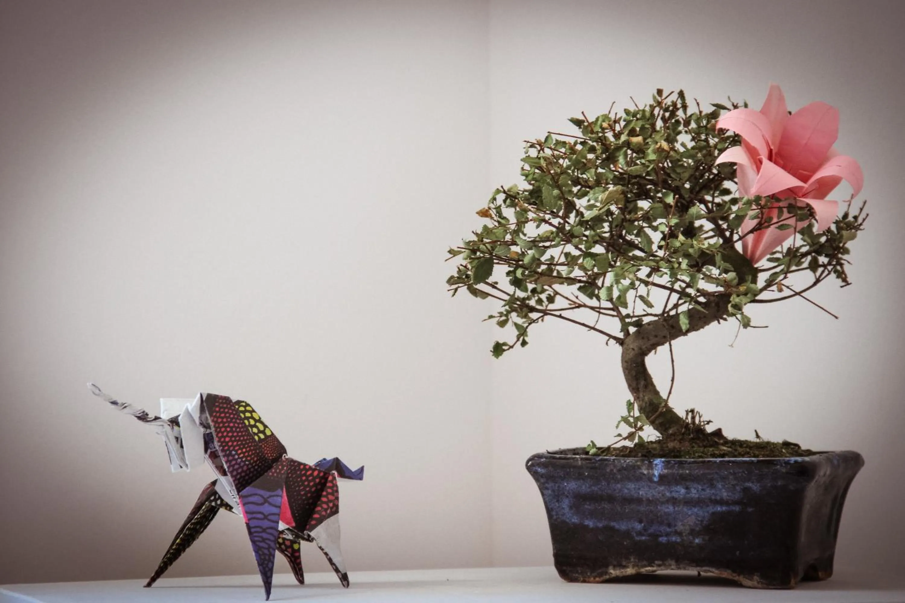 Other in Shangri-La Hostel Anjos