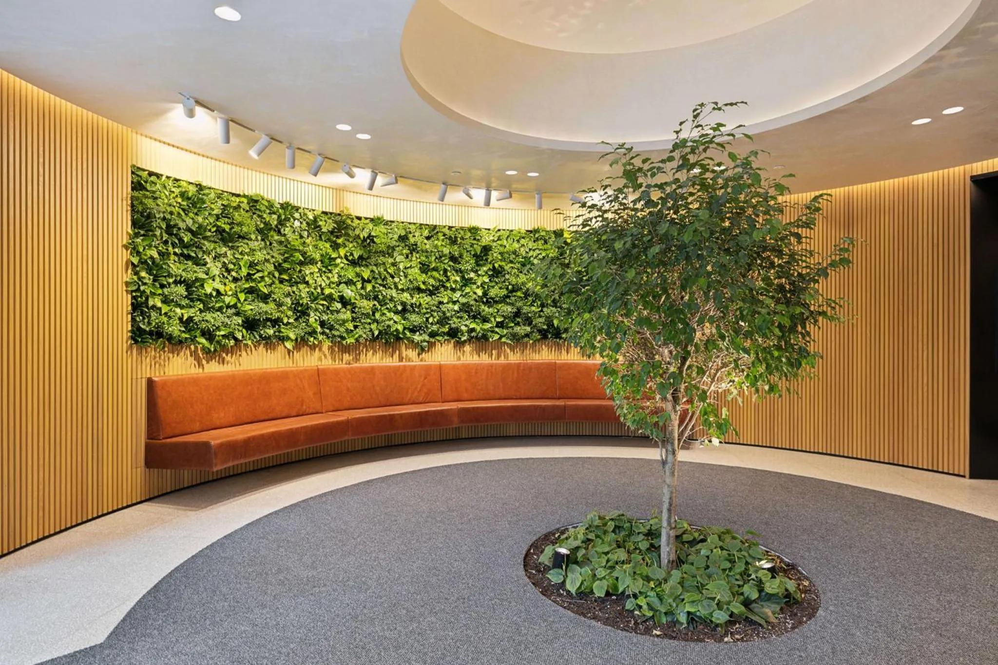 Area and facilities in Placemakr Buzzard Point