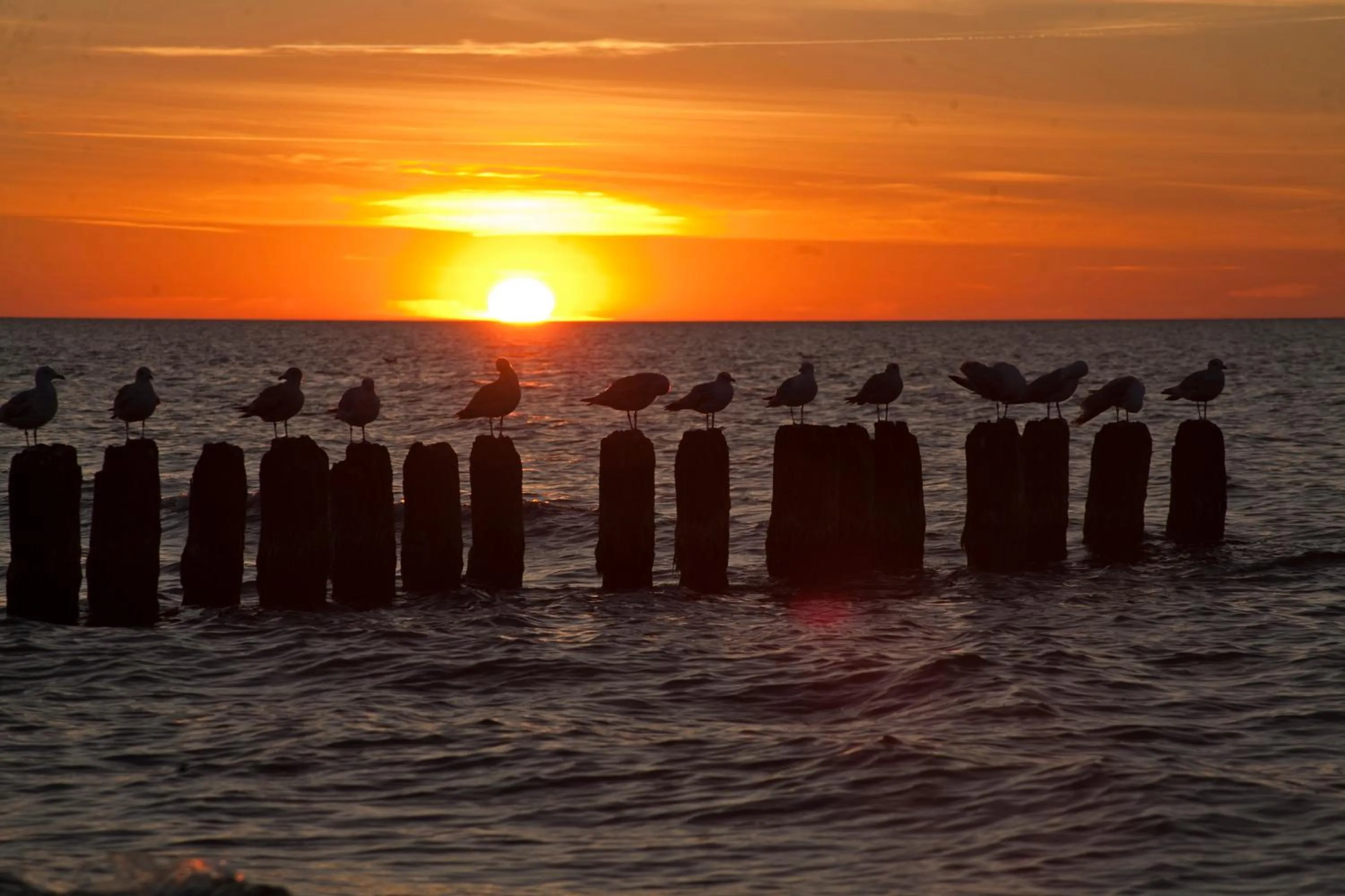 Nearby landmark in Portobello