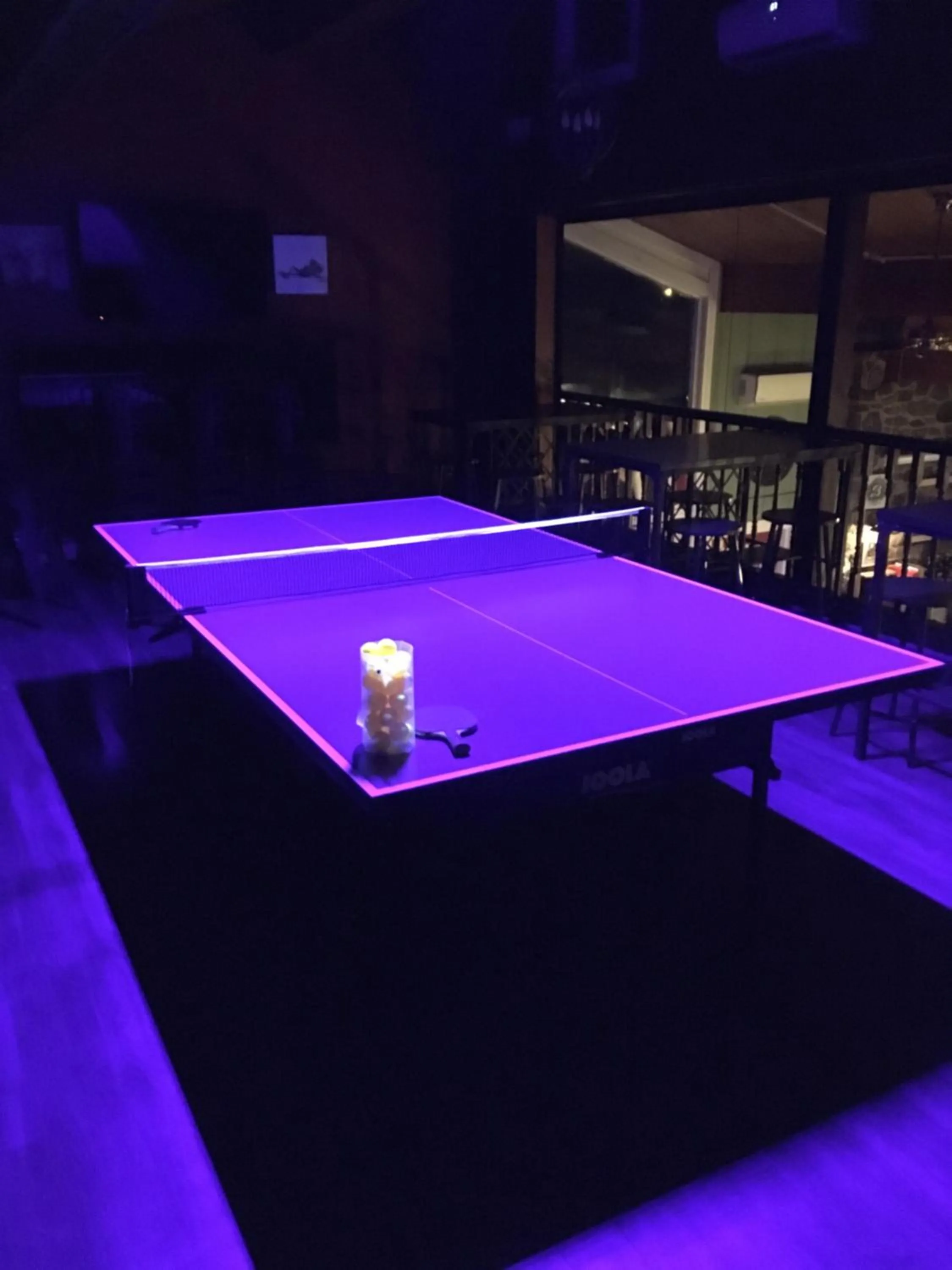 Table tennis in The Iona Heights Inn
