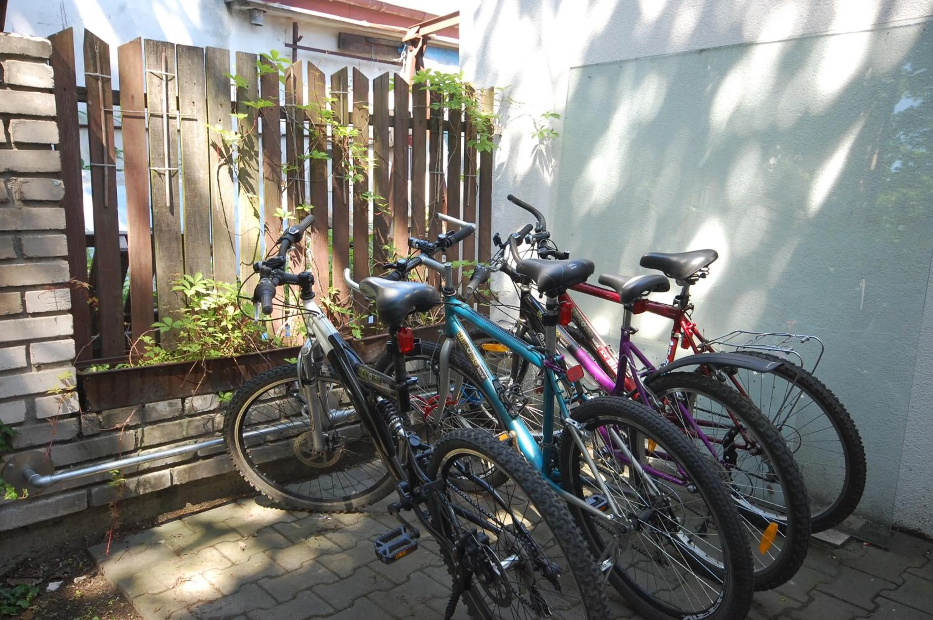 Activities in Hipnotic B&B