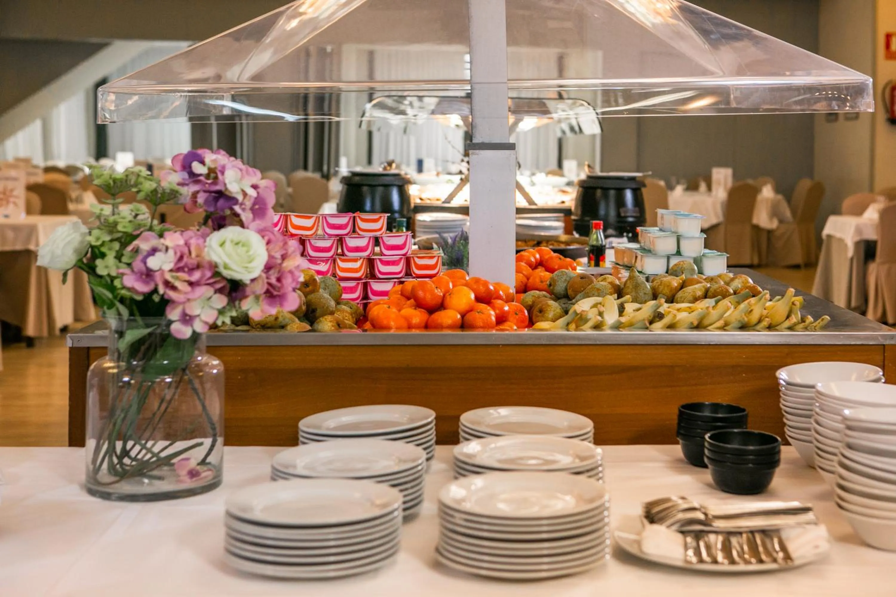 Restaurant/places to eat in Hotel SNÖ Condes del Pallars