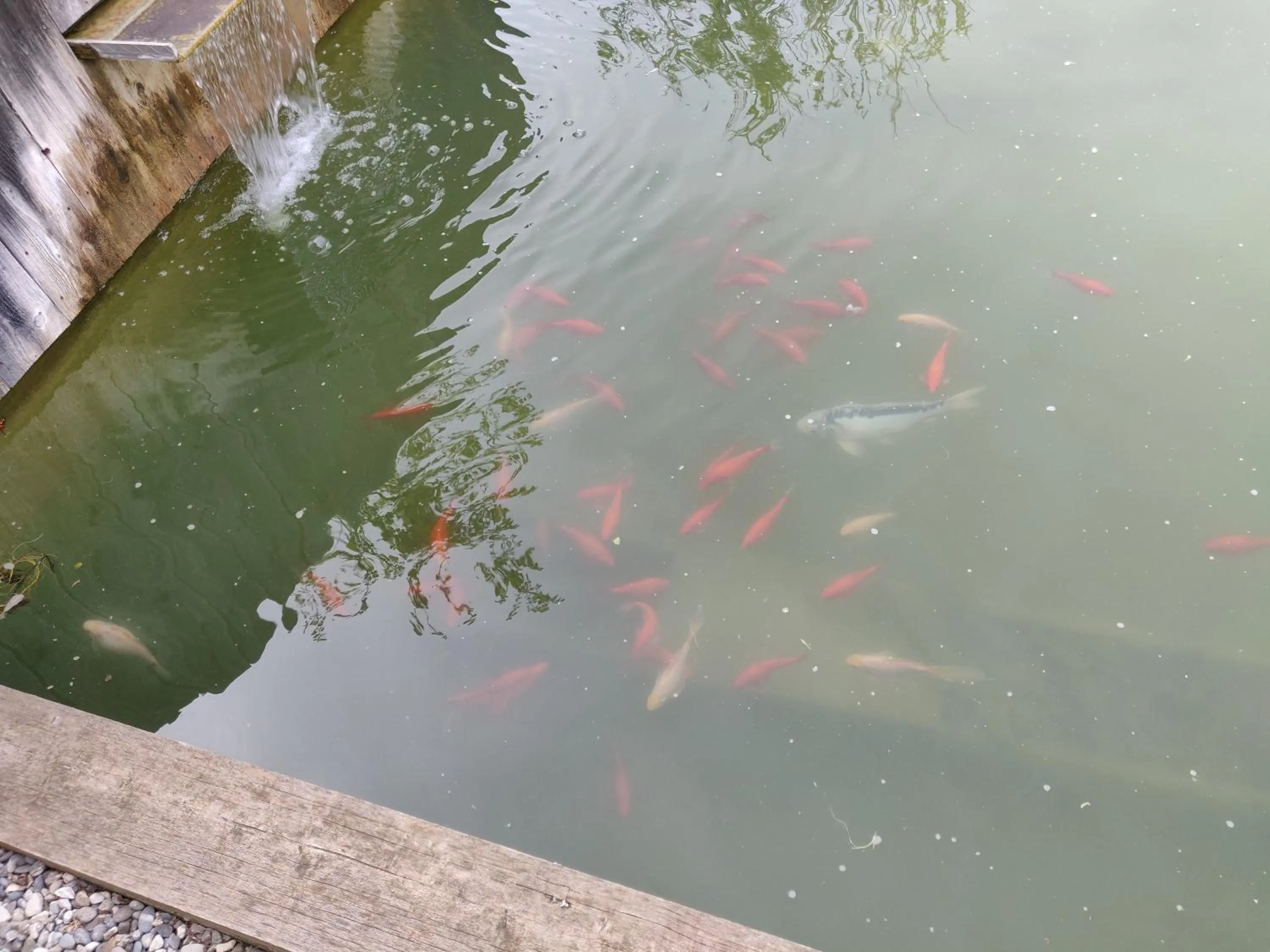 Garden in Les Terrasses de Valensole