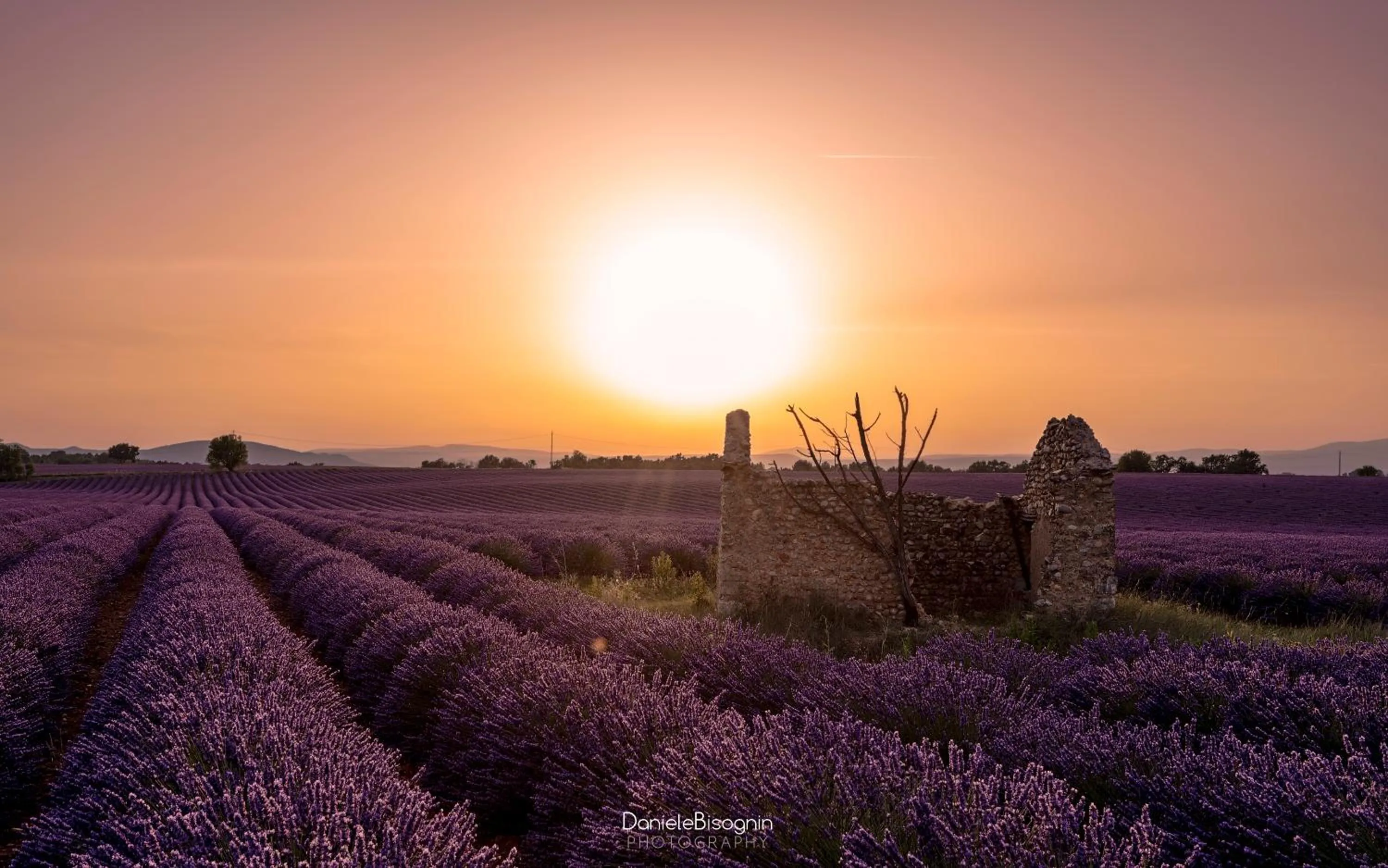 Natural landscape in Les Terrasses de Valensole