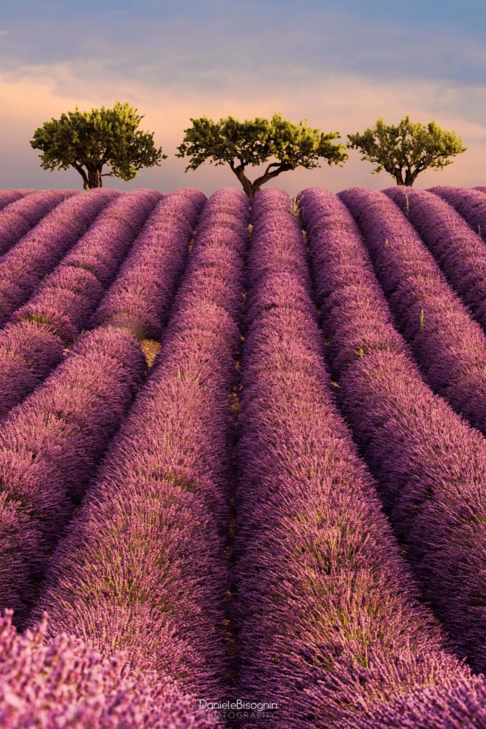 Nearby landmark in Les Terrasses de Valensole