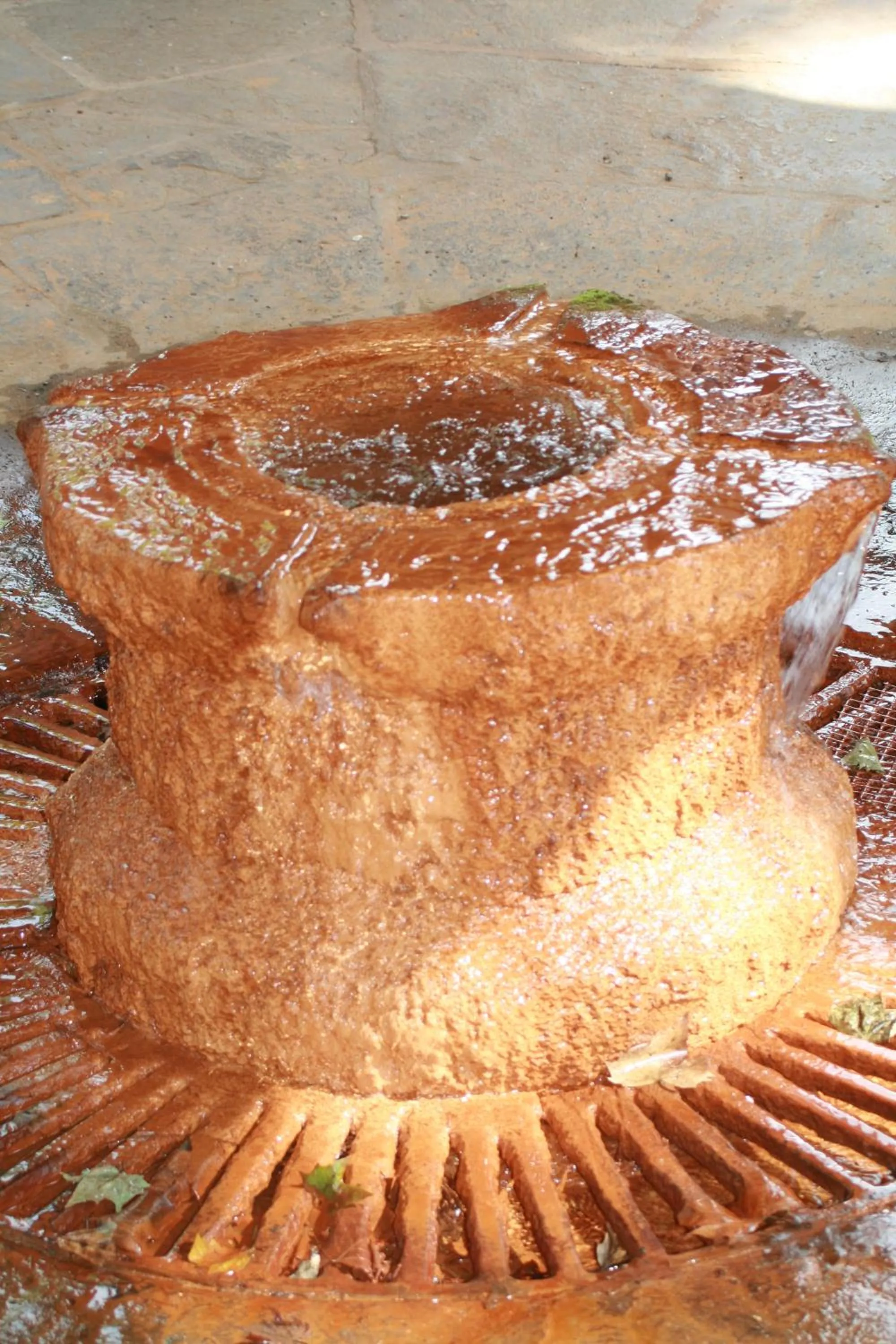 Activities in Le Refuge Orezza