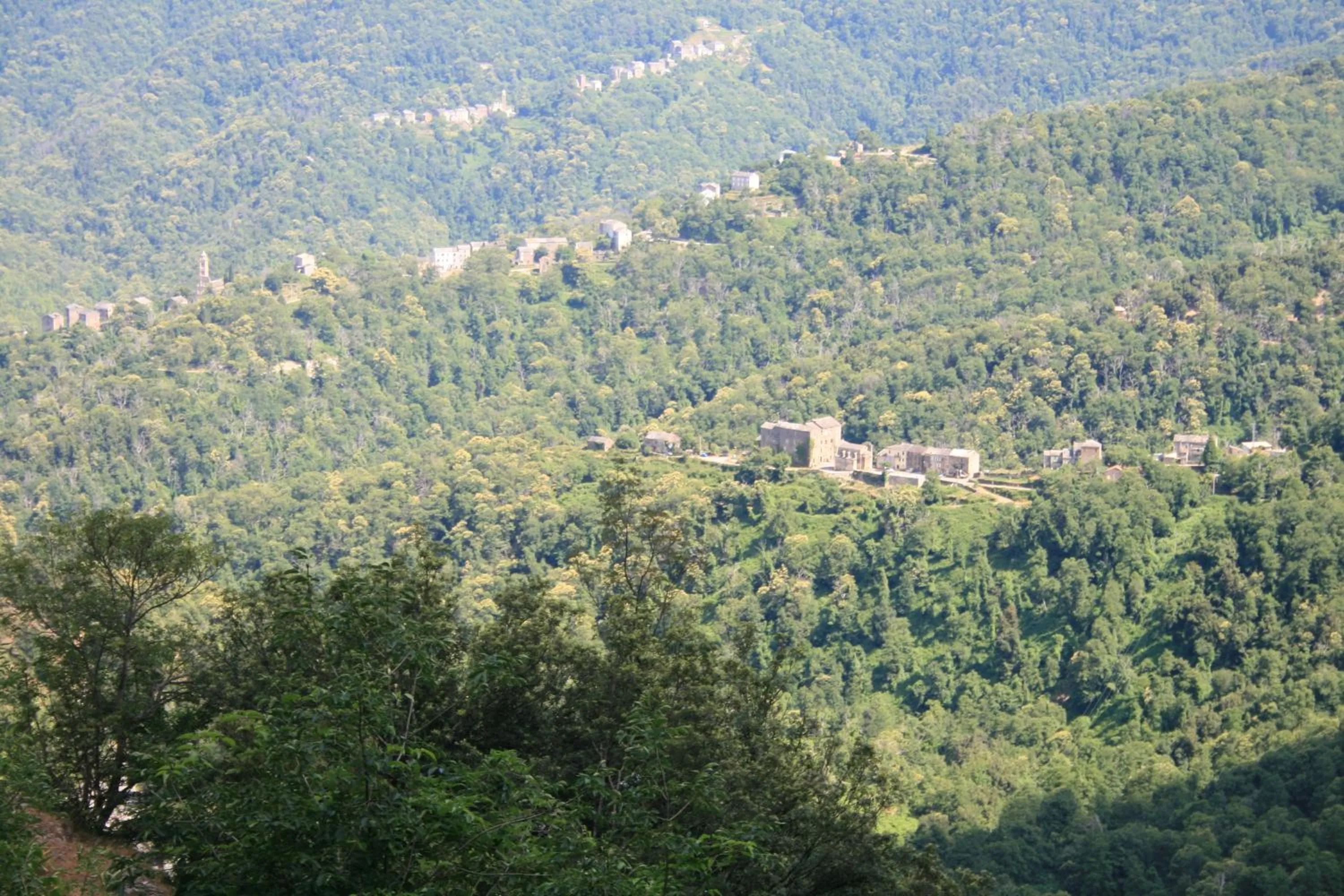 Natural landscape in Le Refuge Orezza