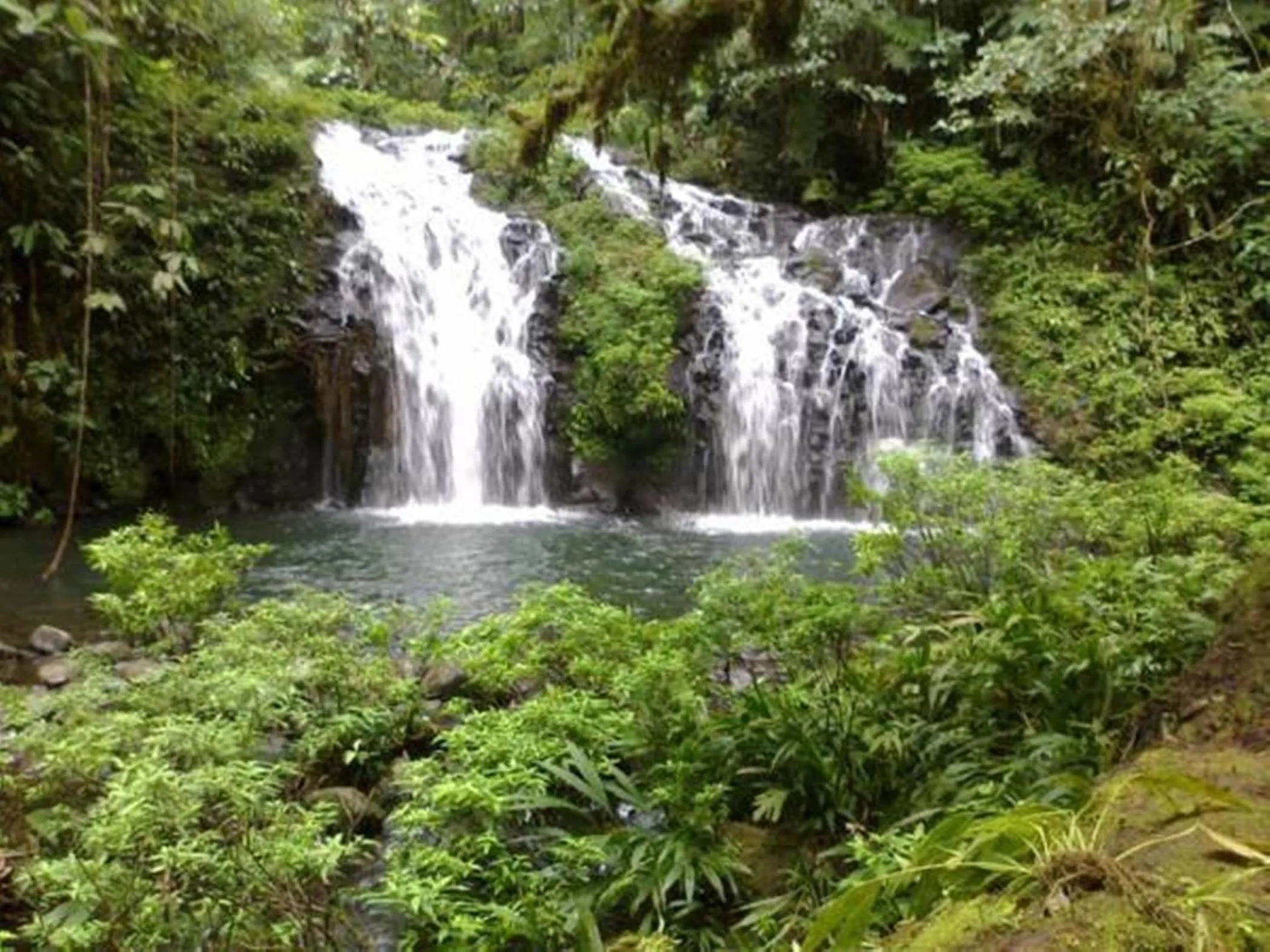 Activities in Mirador Prendas