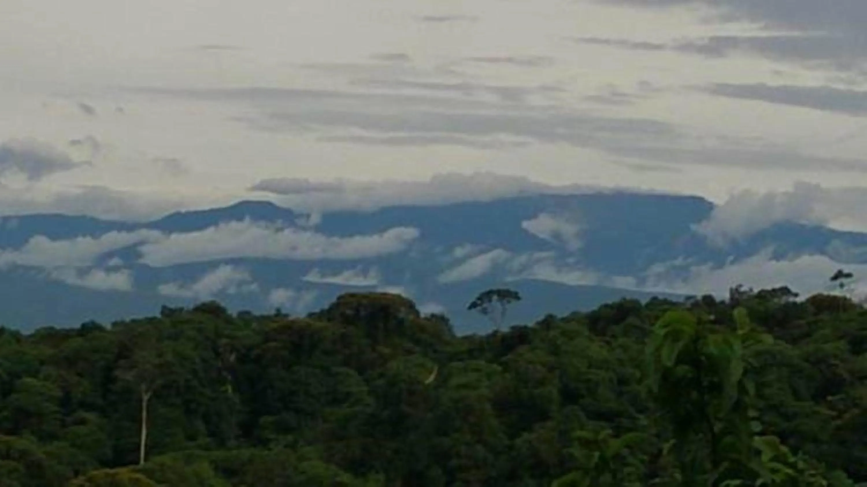 Natural landscape in Mirador Prendas