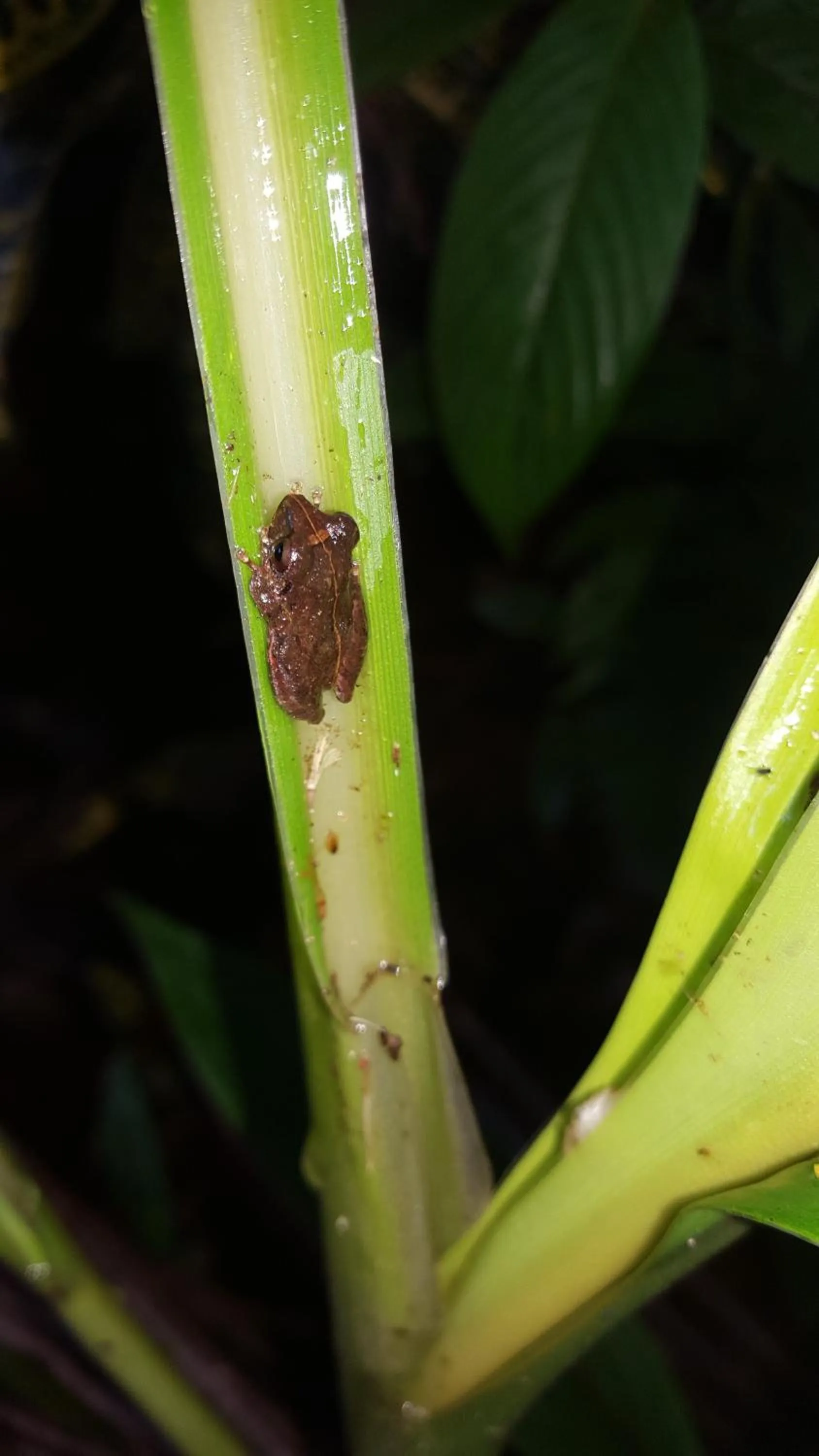 Activities in Mirador Prendas