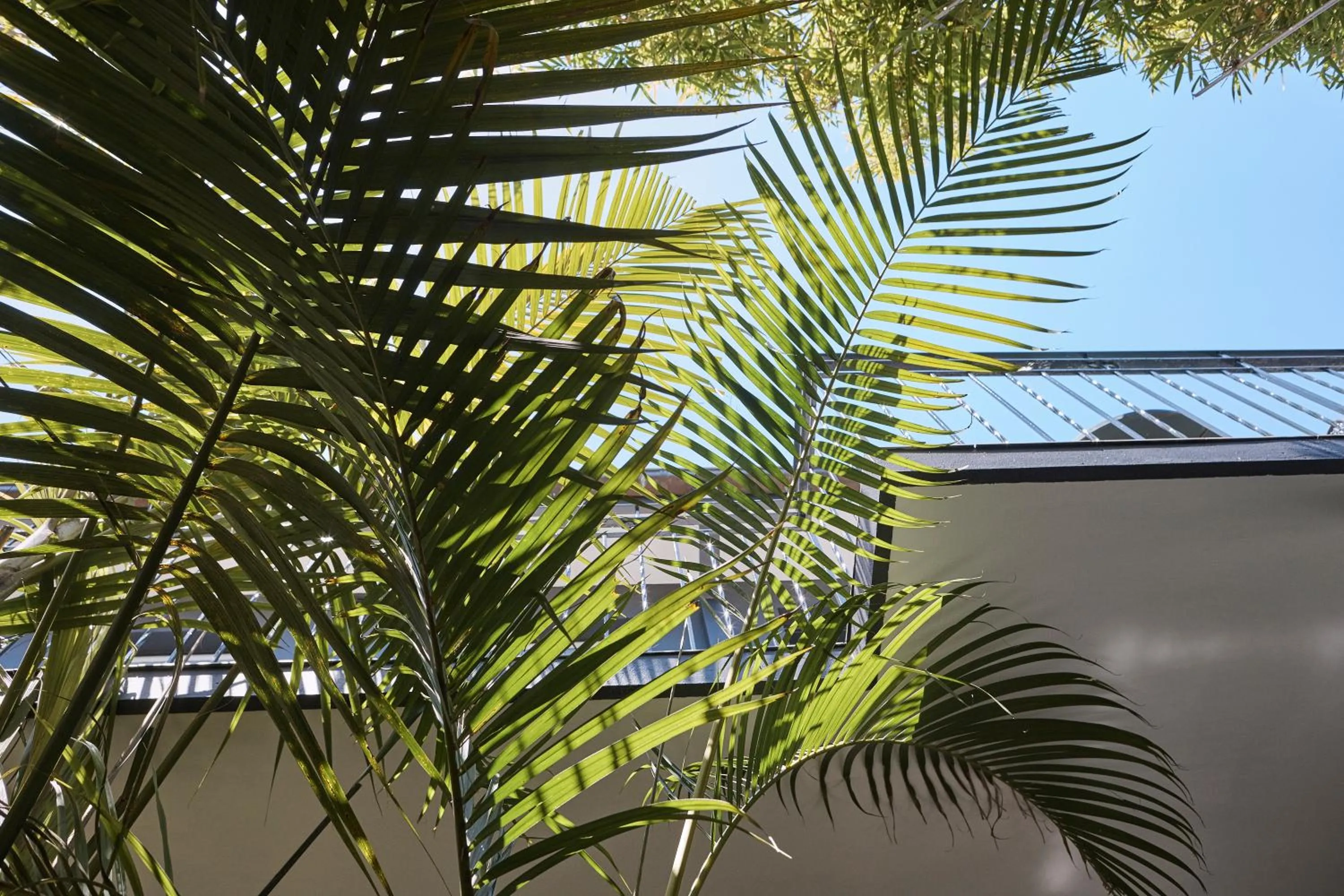 Garden in Ballantyne at Mosman Apartments