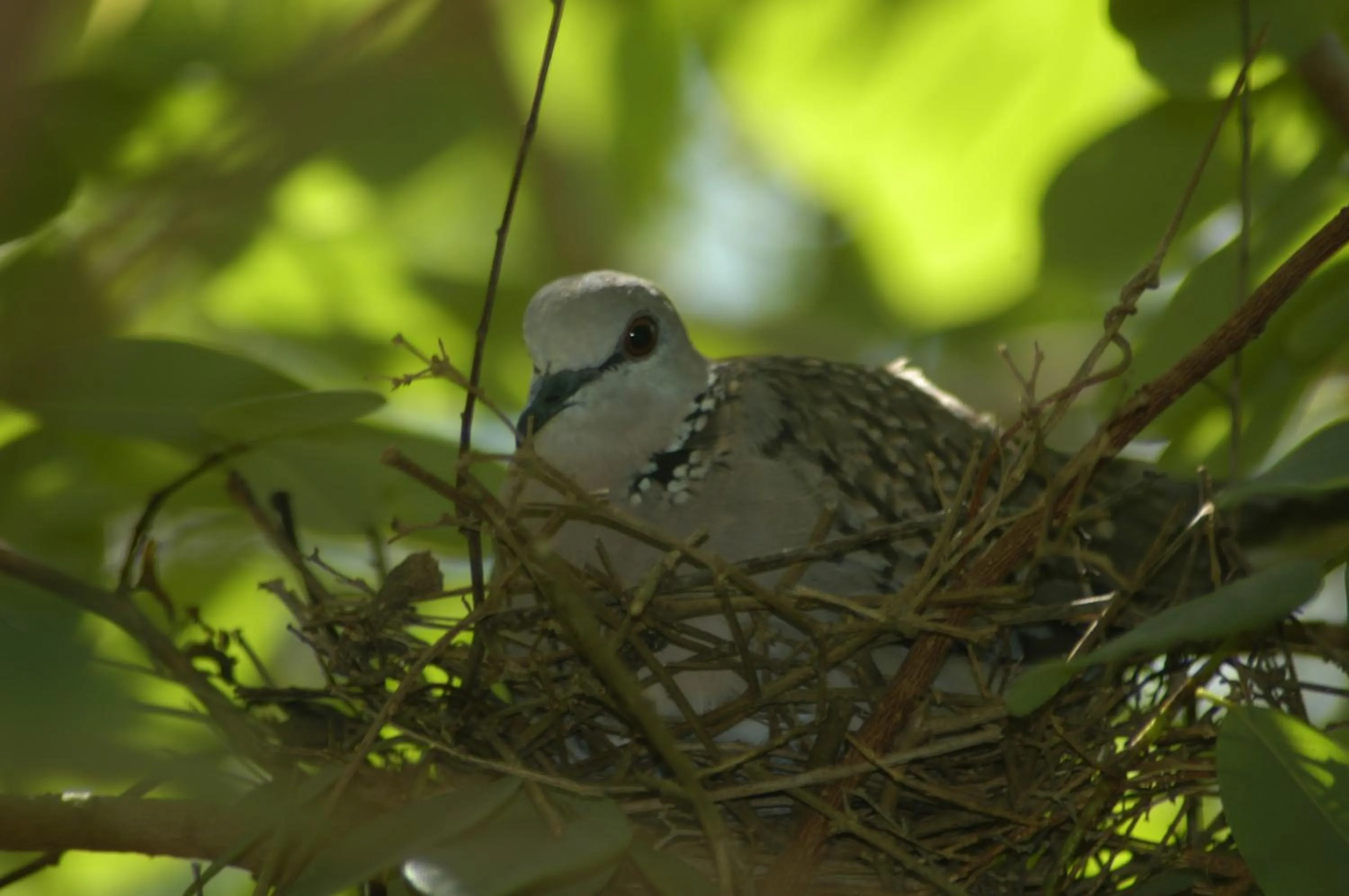 Other in Hotel Athgira